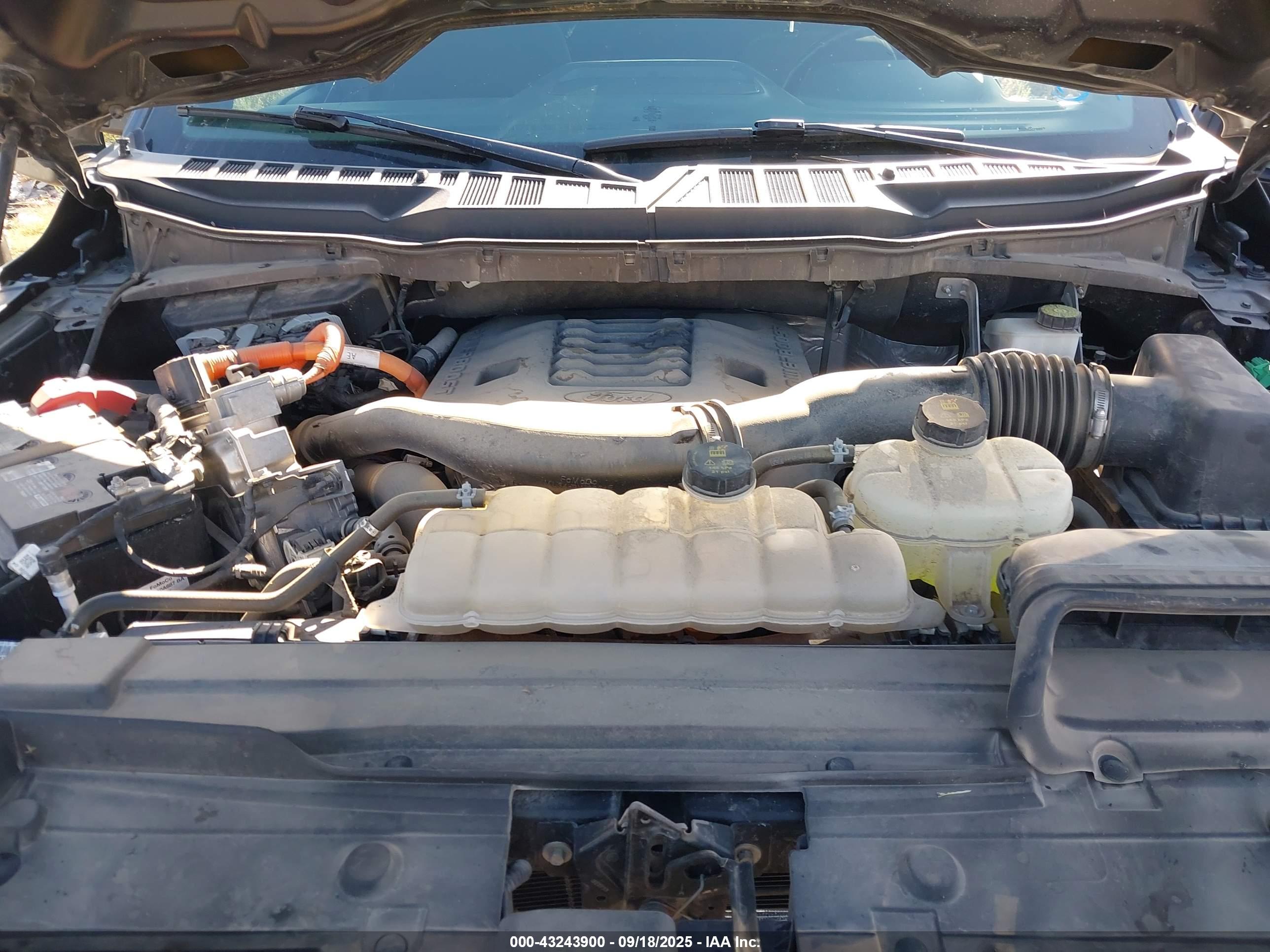 FORD F-150 image 10