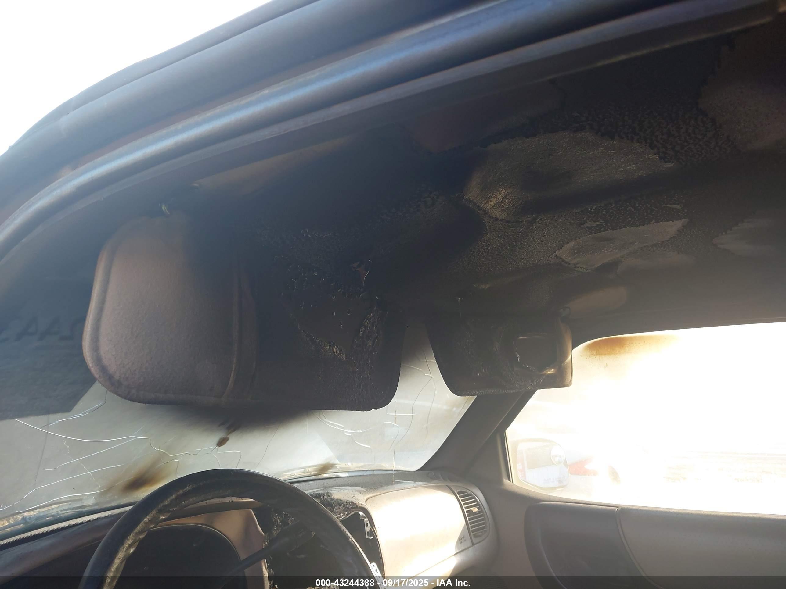 FORD RANGER image 6