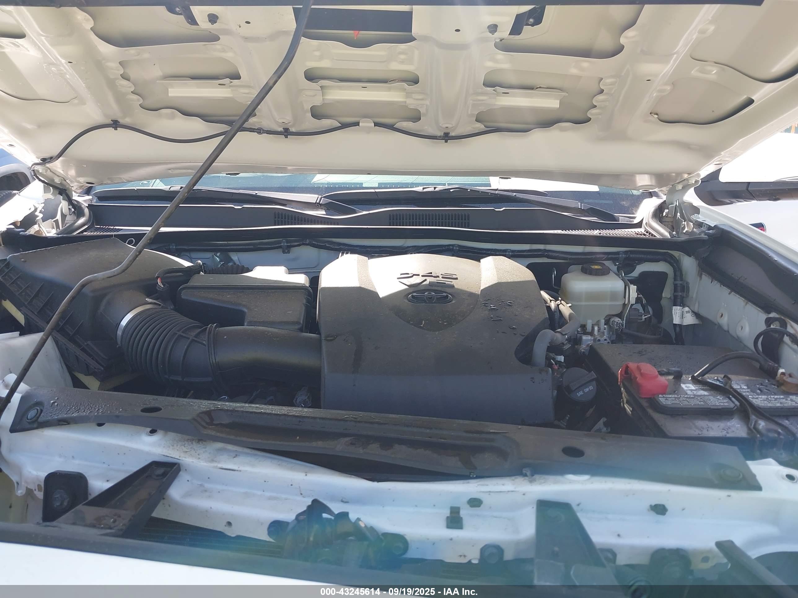 TOYOTA TACOMA image 10