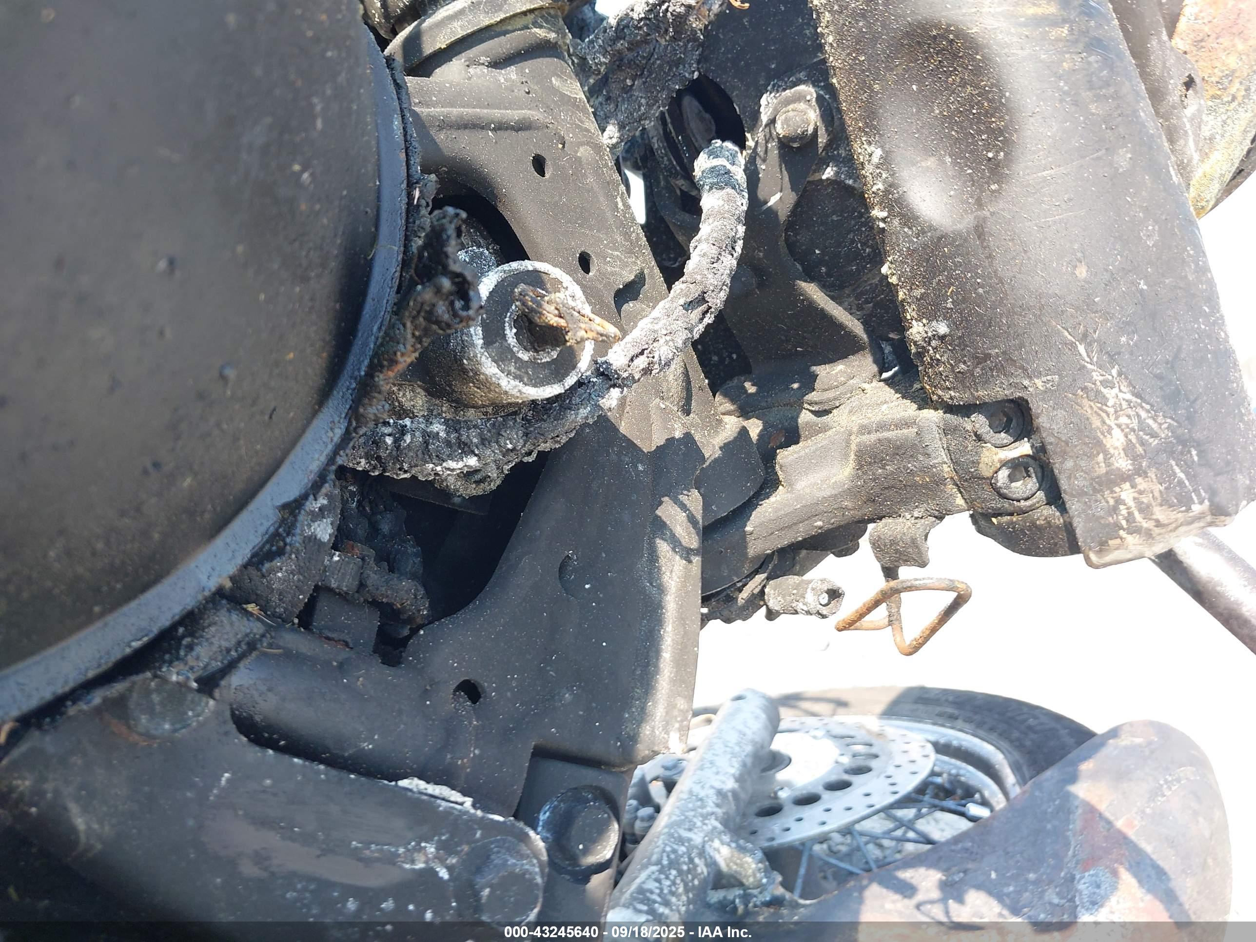 YAMAHA XVS1100 image 11