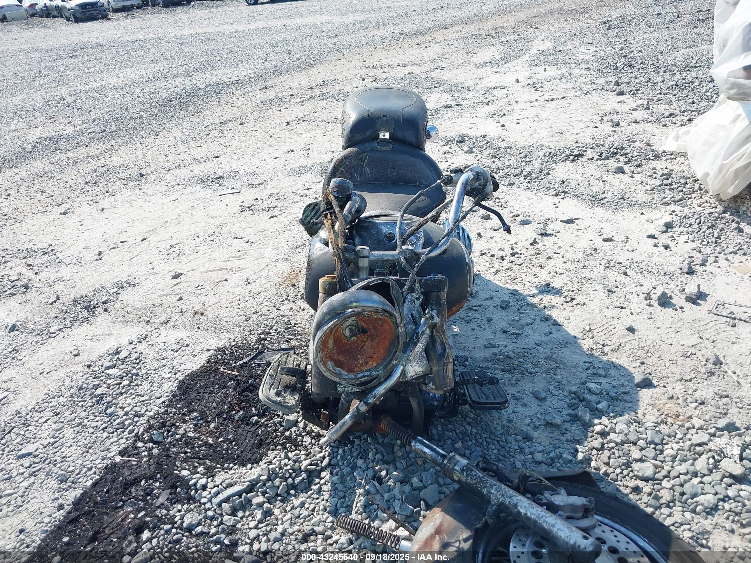 YAMAHA XVS1100 image 5