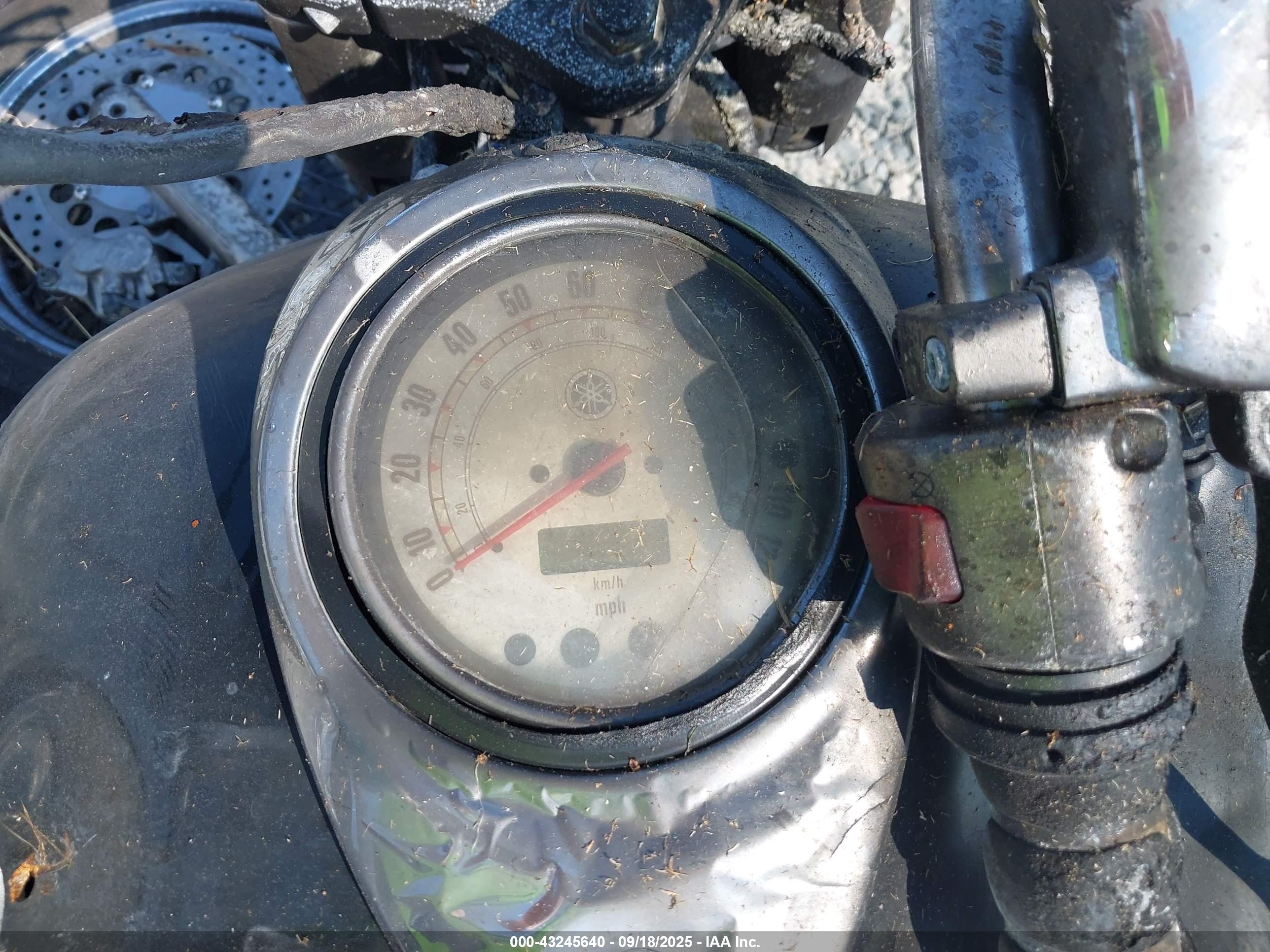 YAMAHA XVS1100 image 7