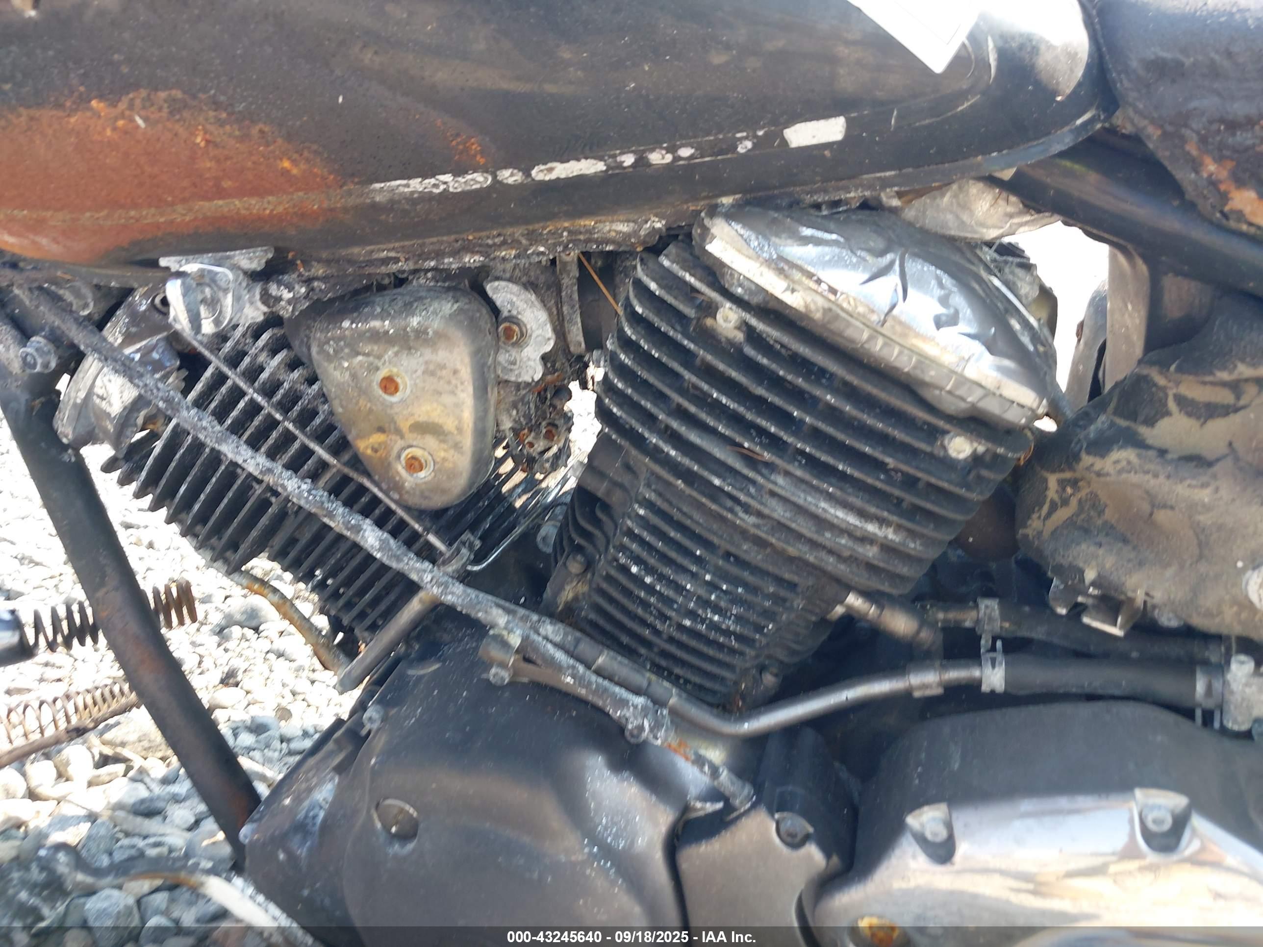 YAMAHA XVS1100 image 9