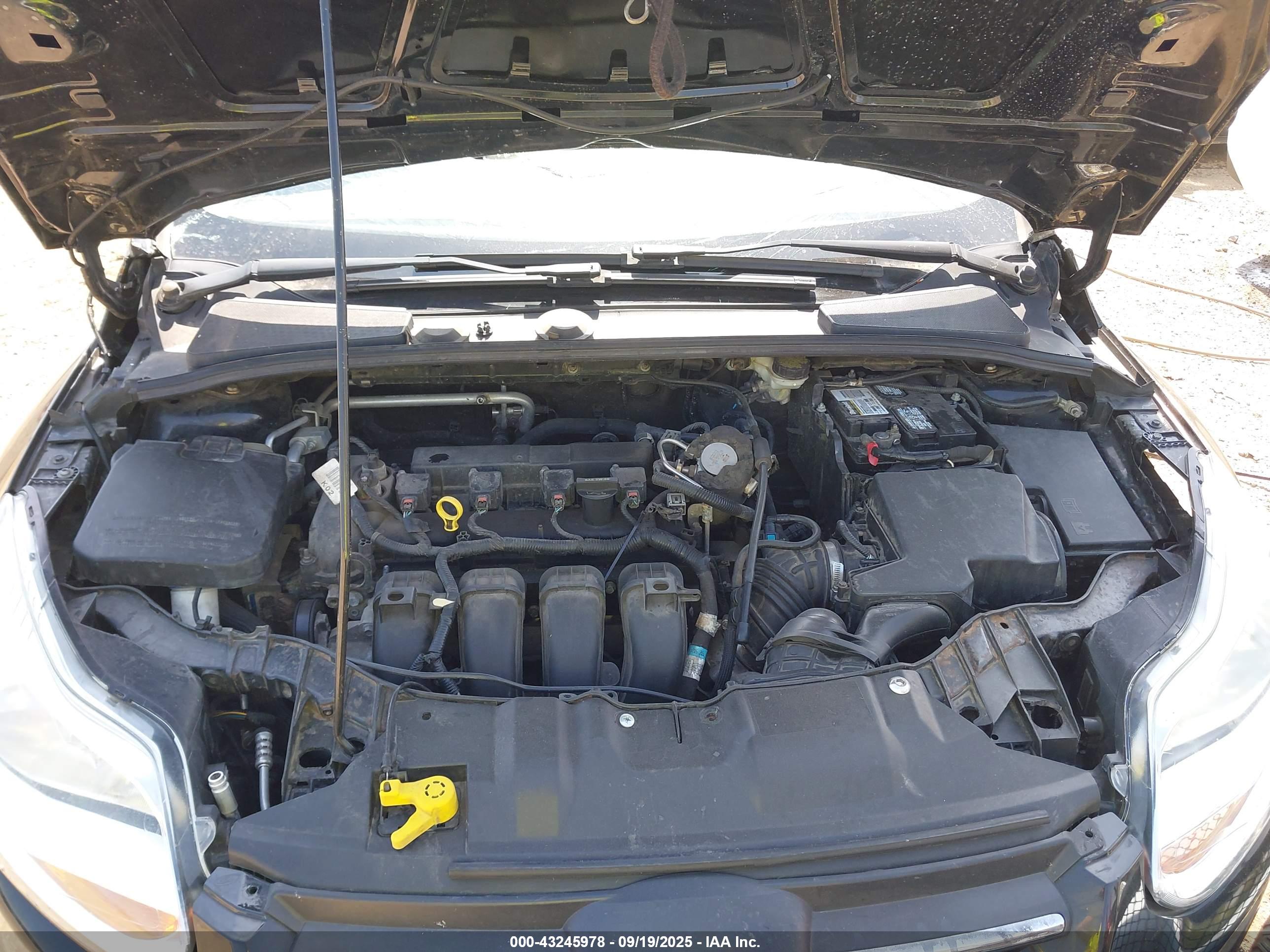 FORD FOCUS image 10