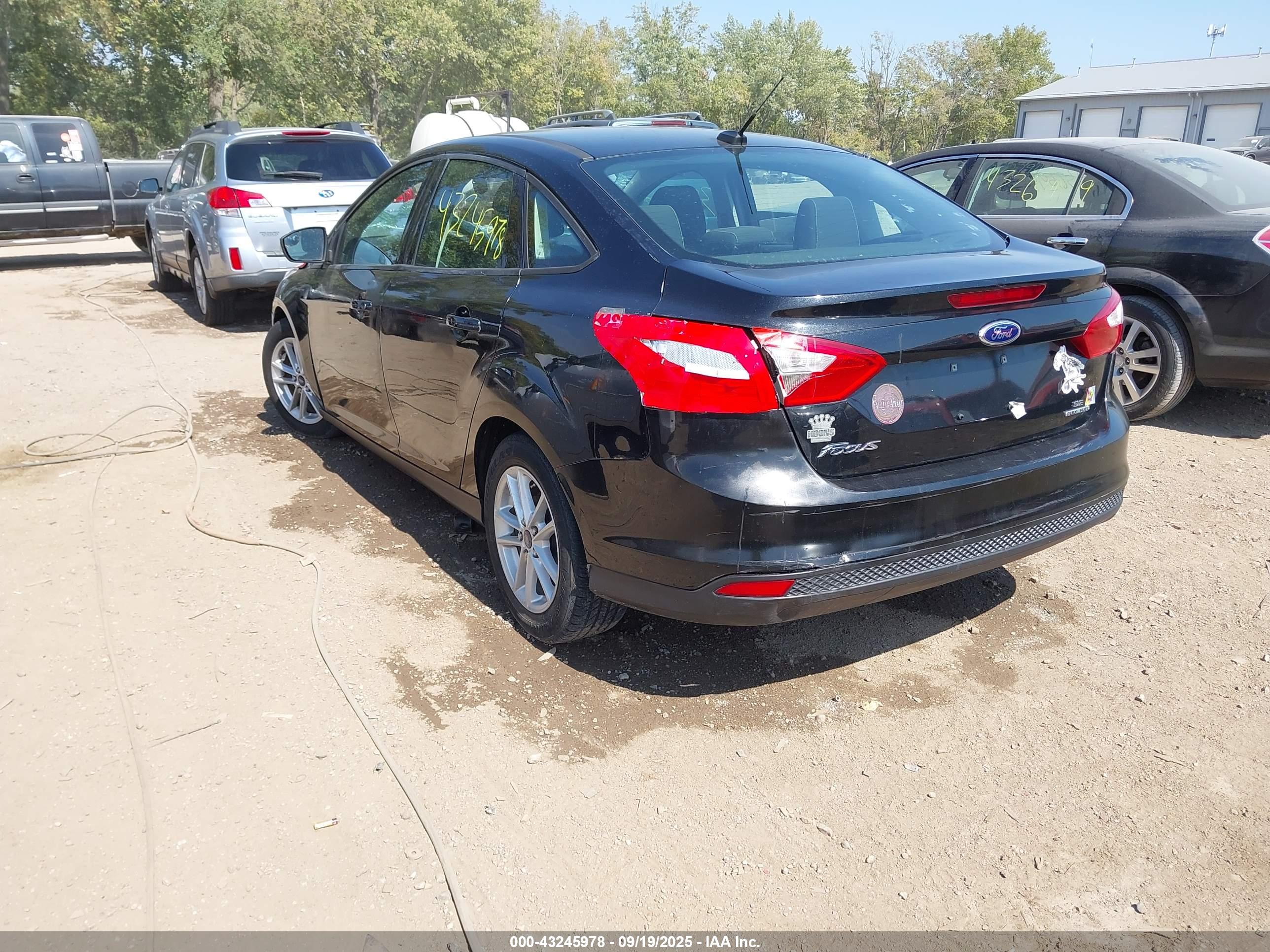 FORD FOCUS image 3