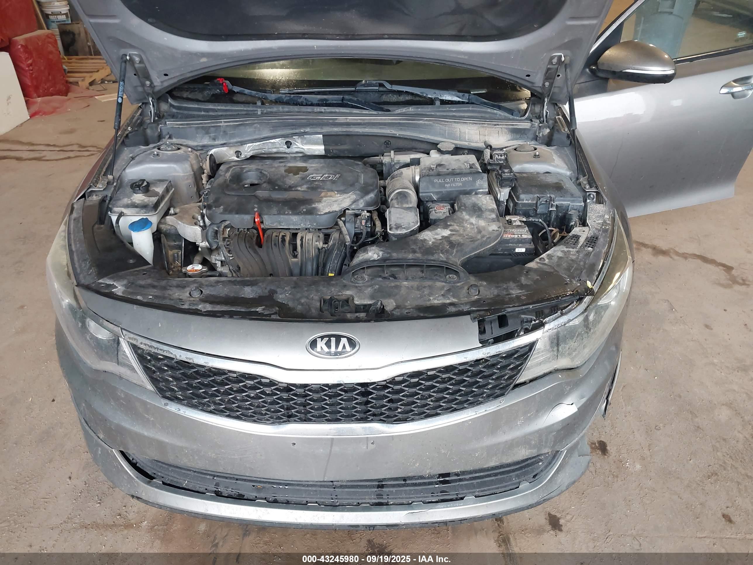 KIA OPTIMA image 10