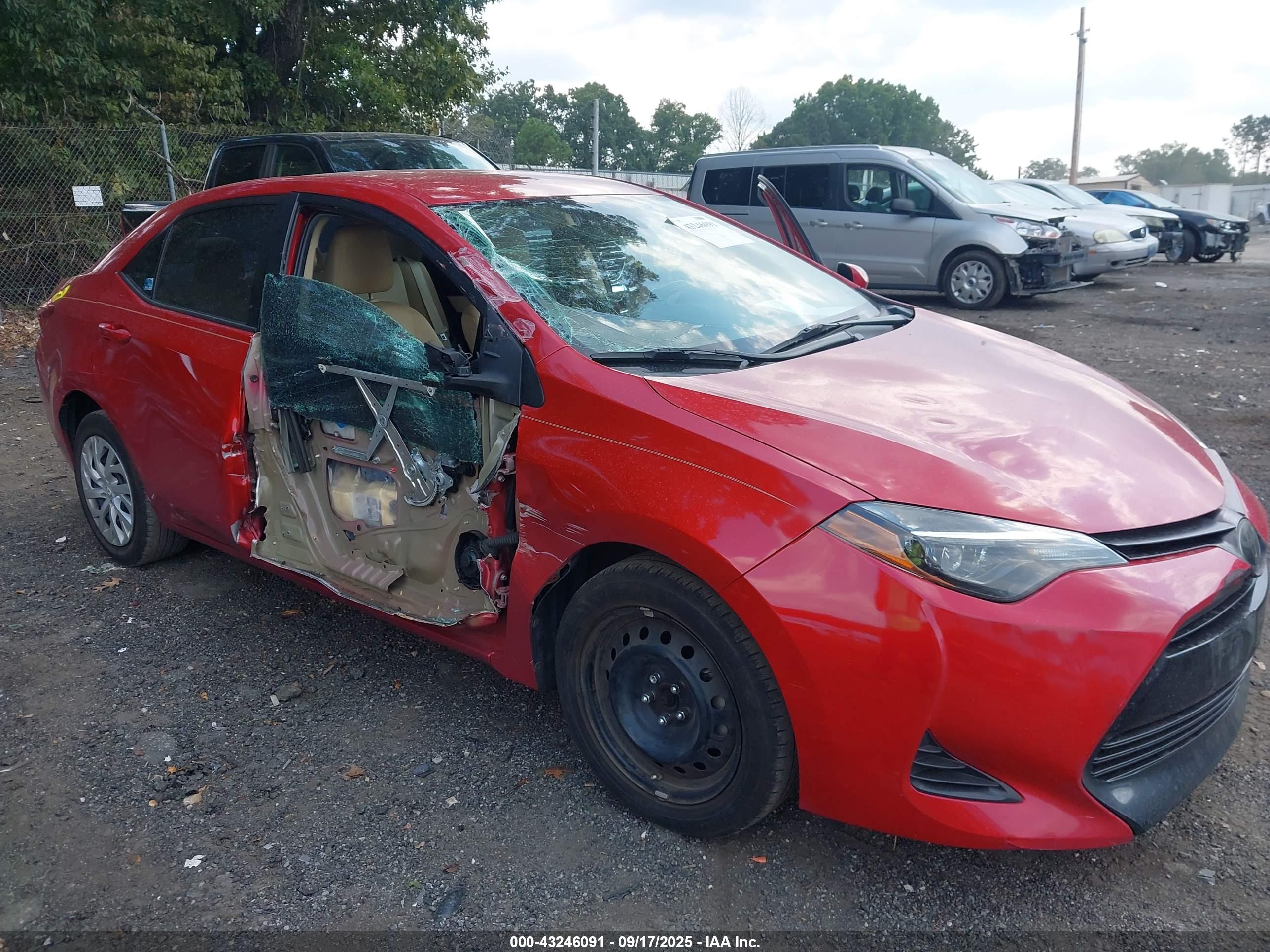 TOYOTA COROLLA image 6