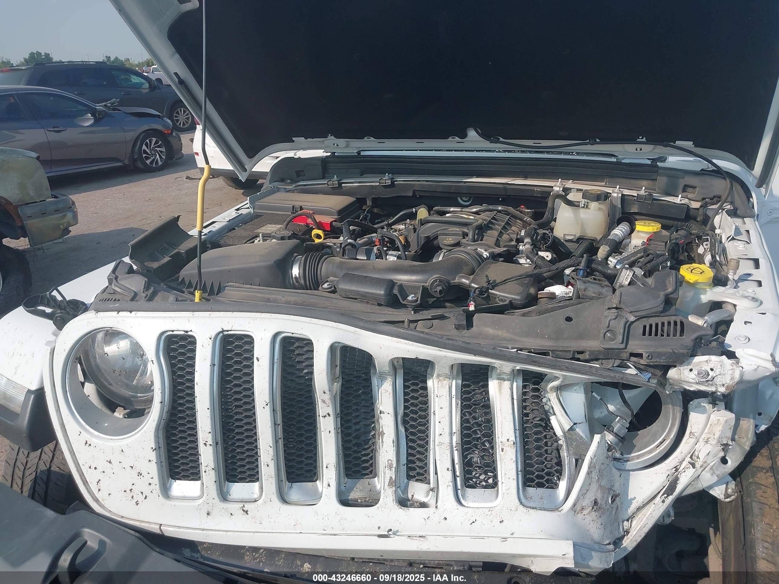 JEEP WRANGLER image 10