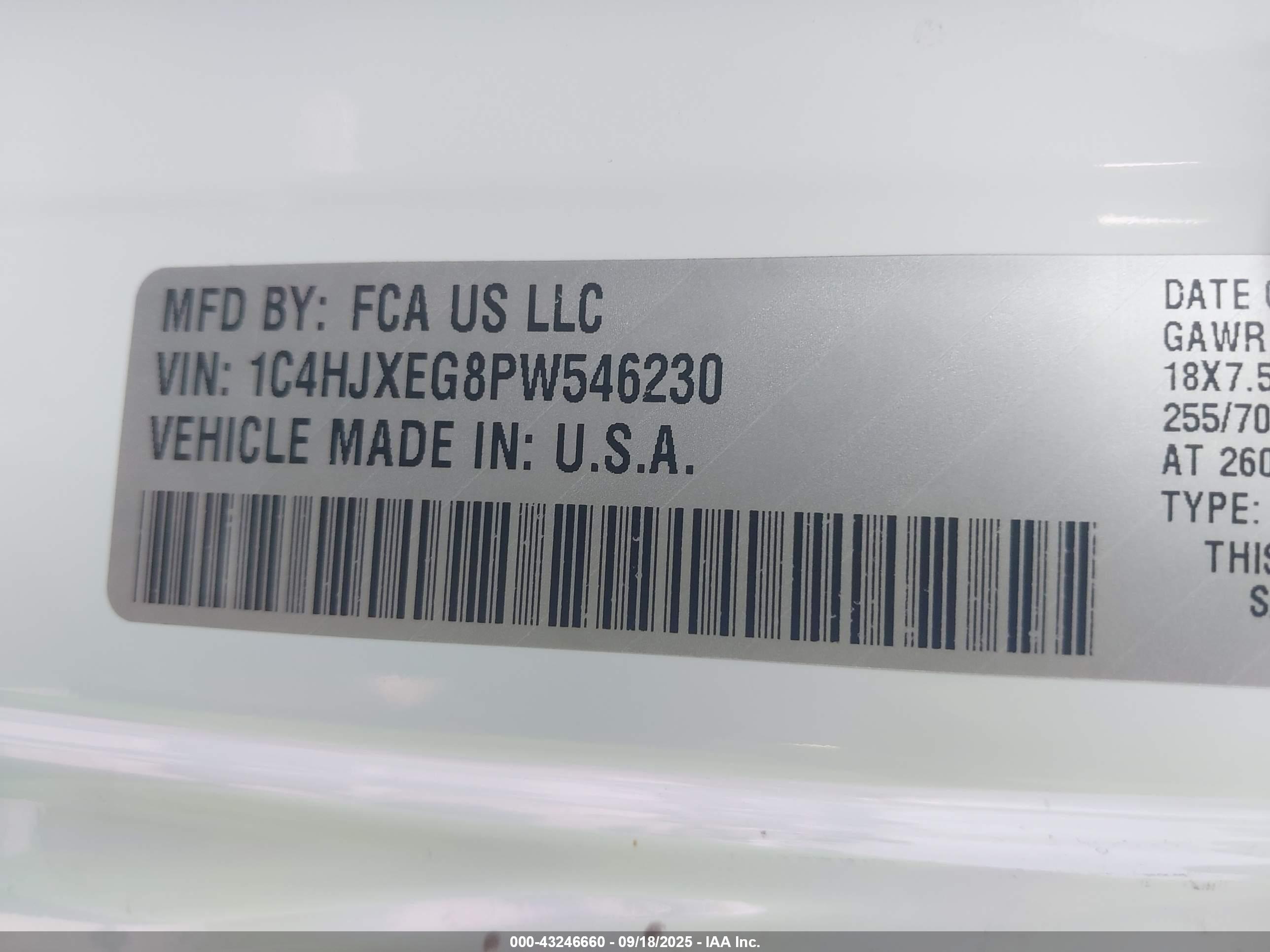 JEEP WRANGLER image 9