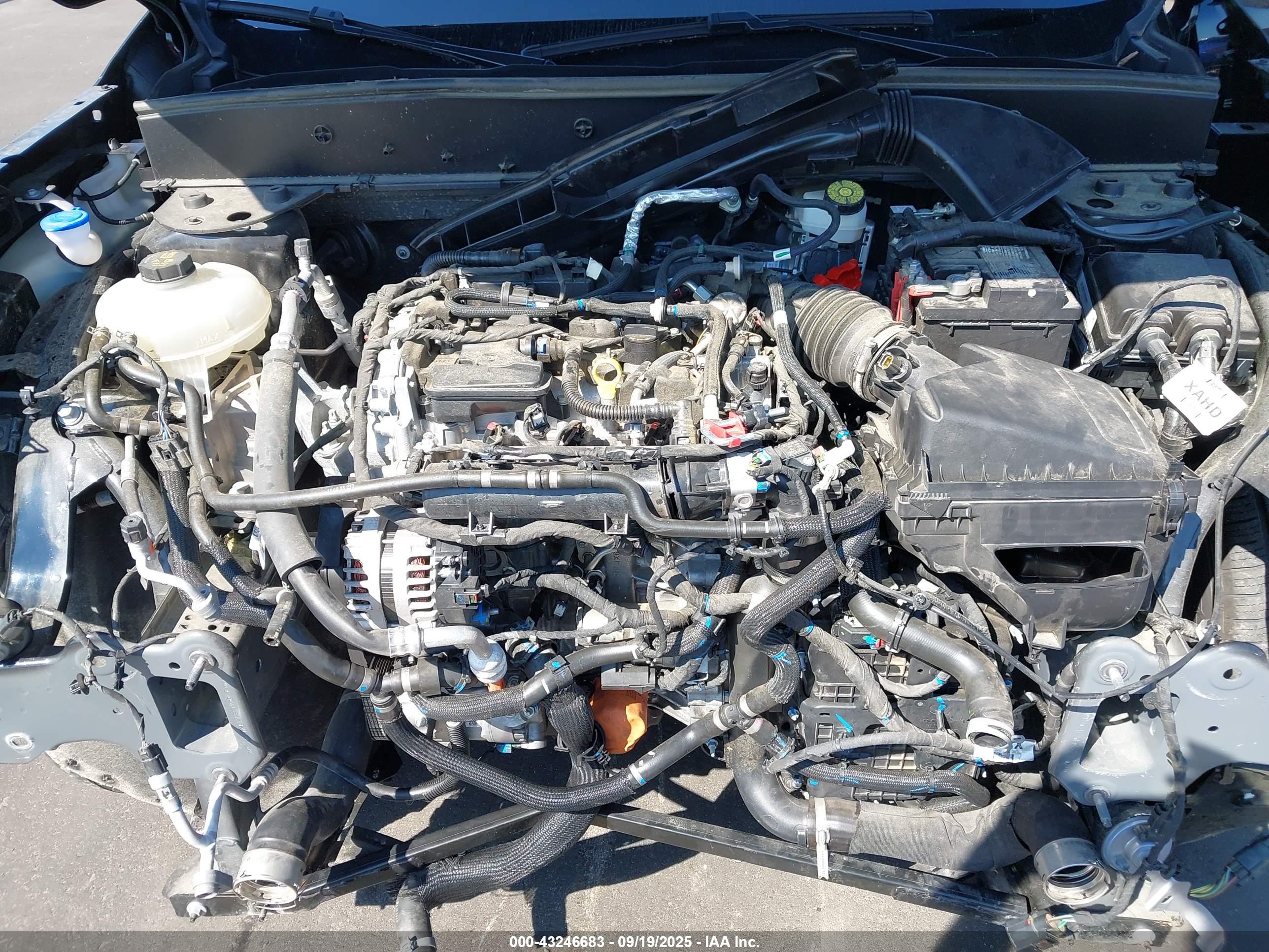 FORD BRONCO image 10