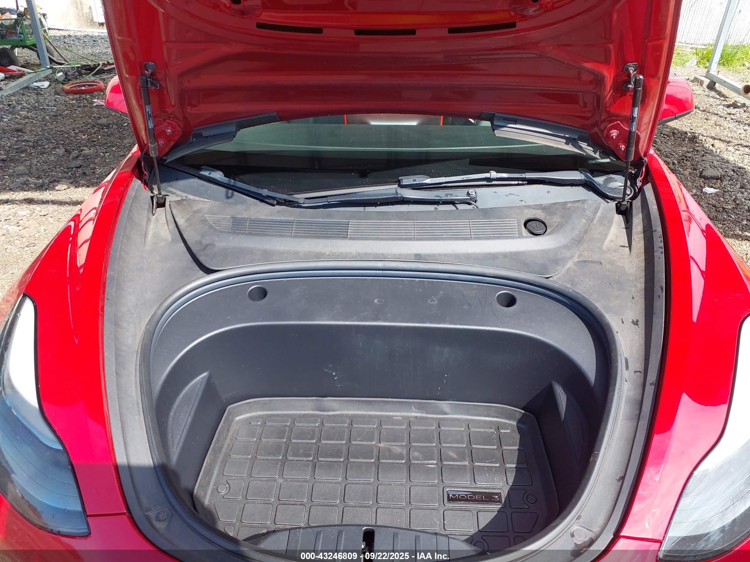 TESLA MODEL image 10