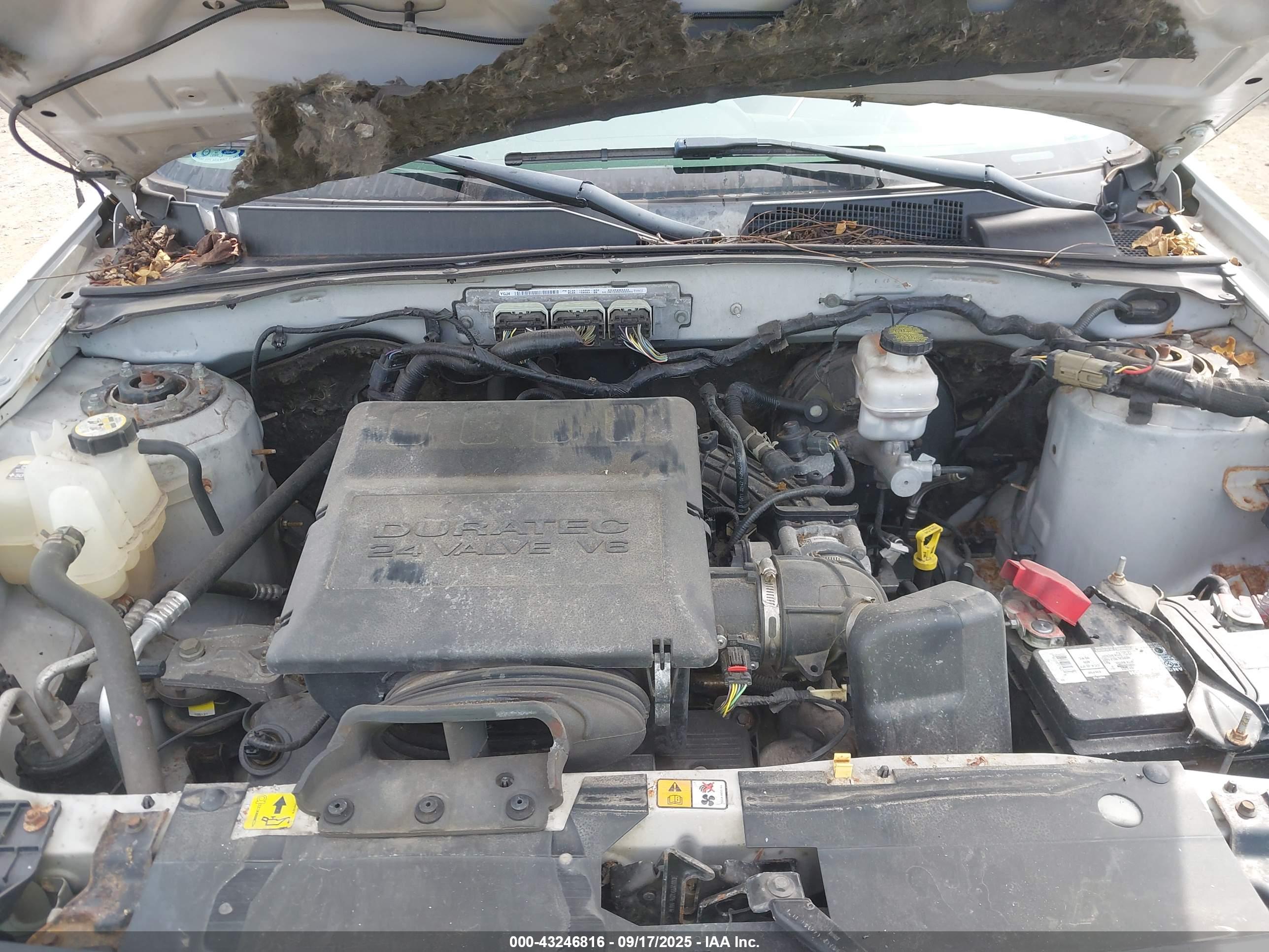 FORD ESCAPE image 10