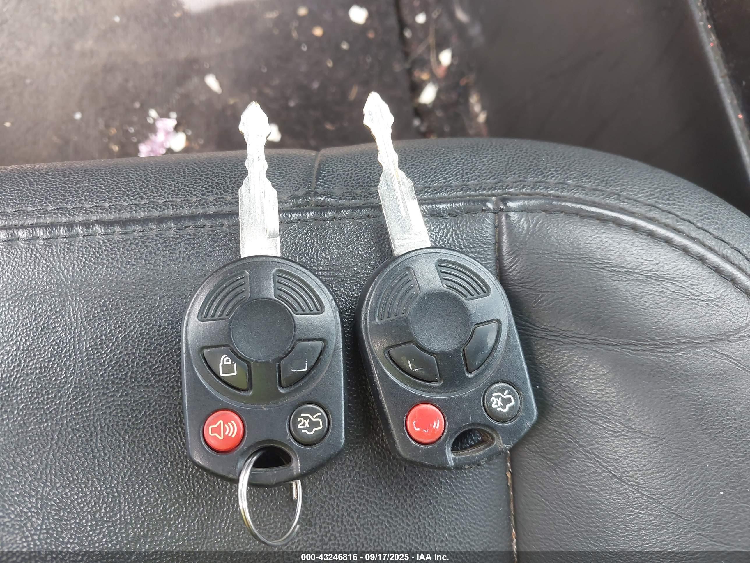 FORD ESCAPE image 11