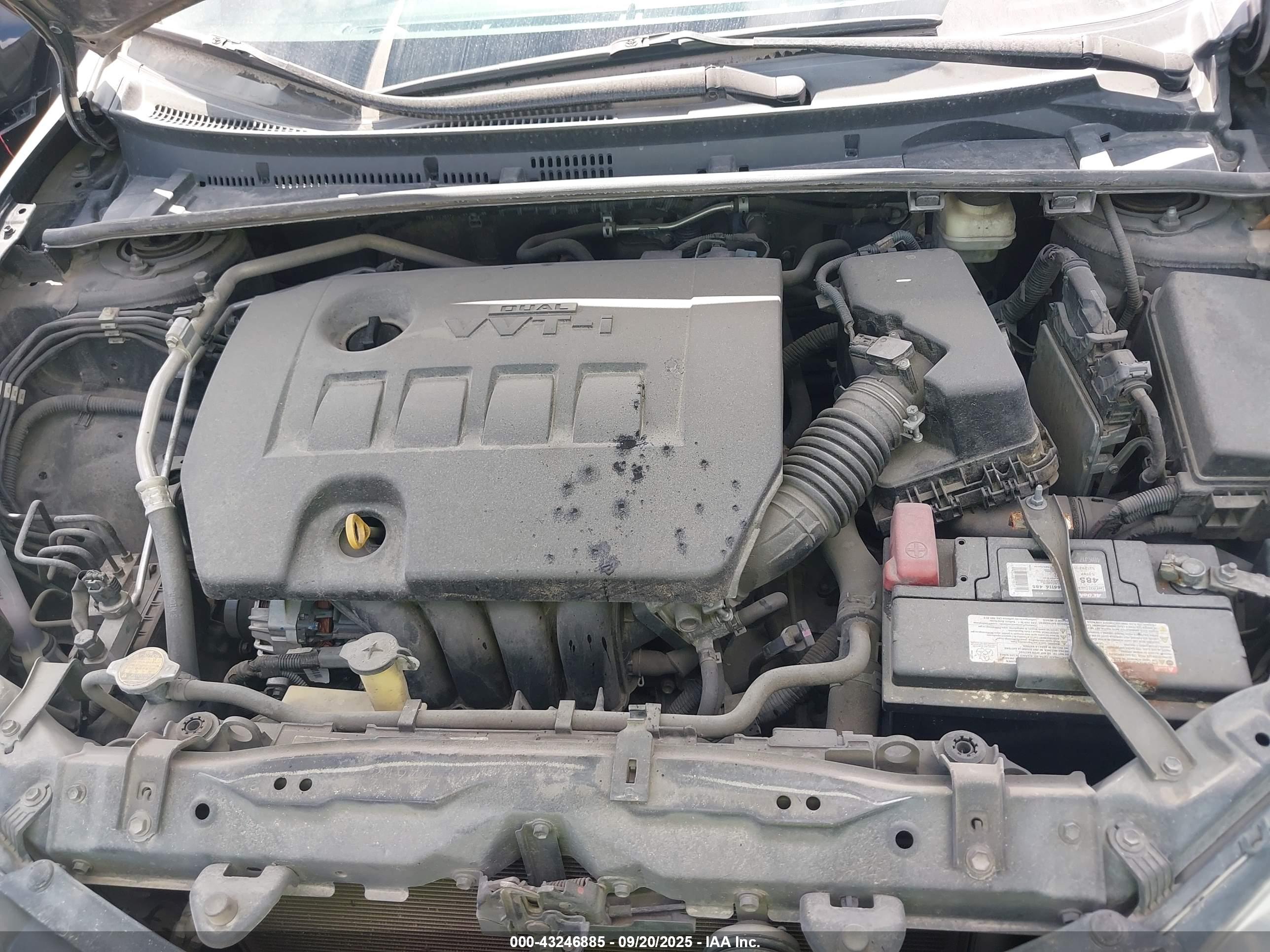 TOYOTA COROLLA image 10