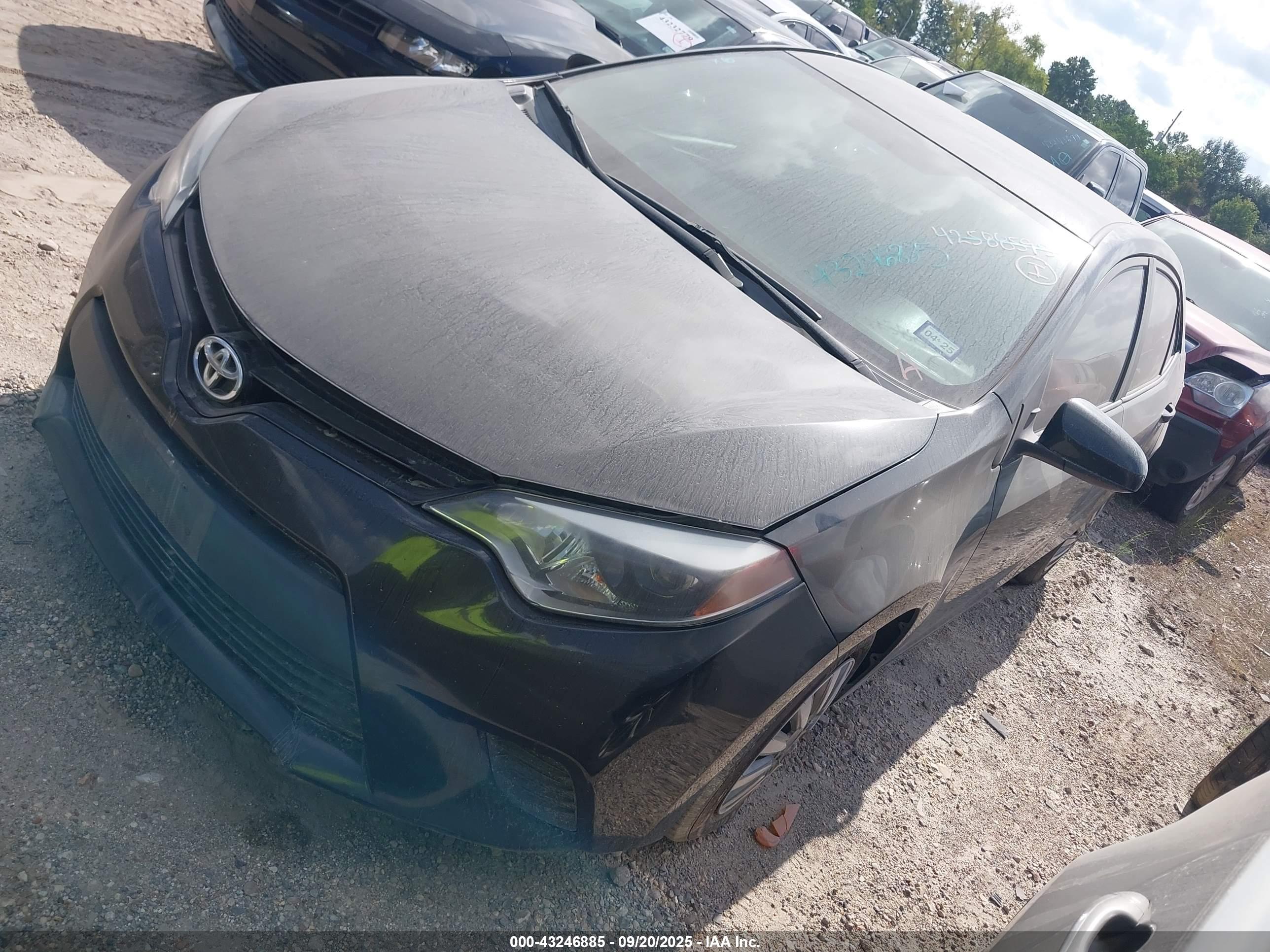 TOYOTA COROLLA image 2