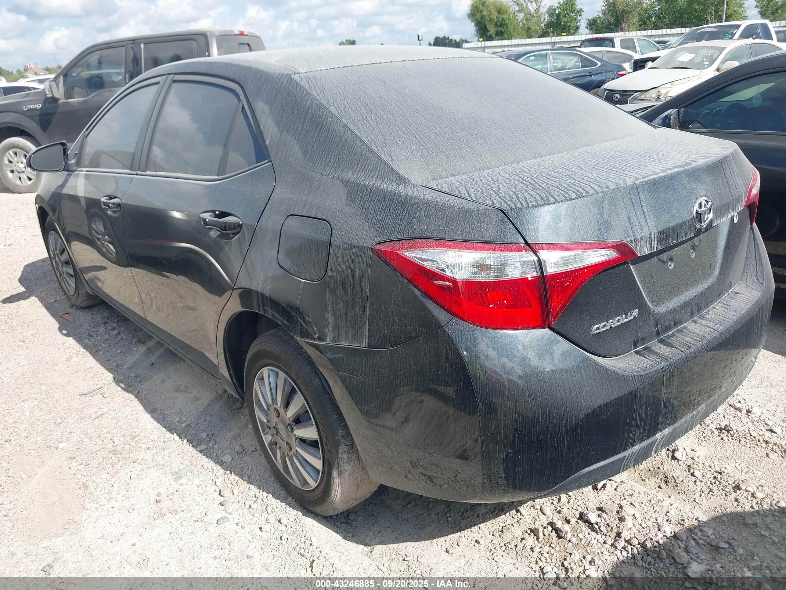 TOYOTA COROLLA image 3