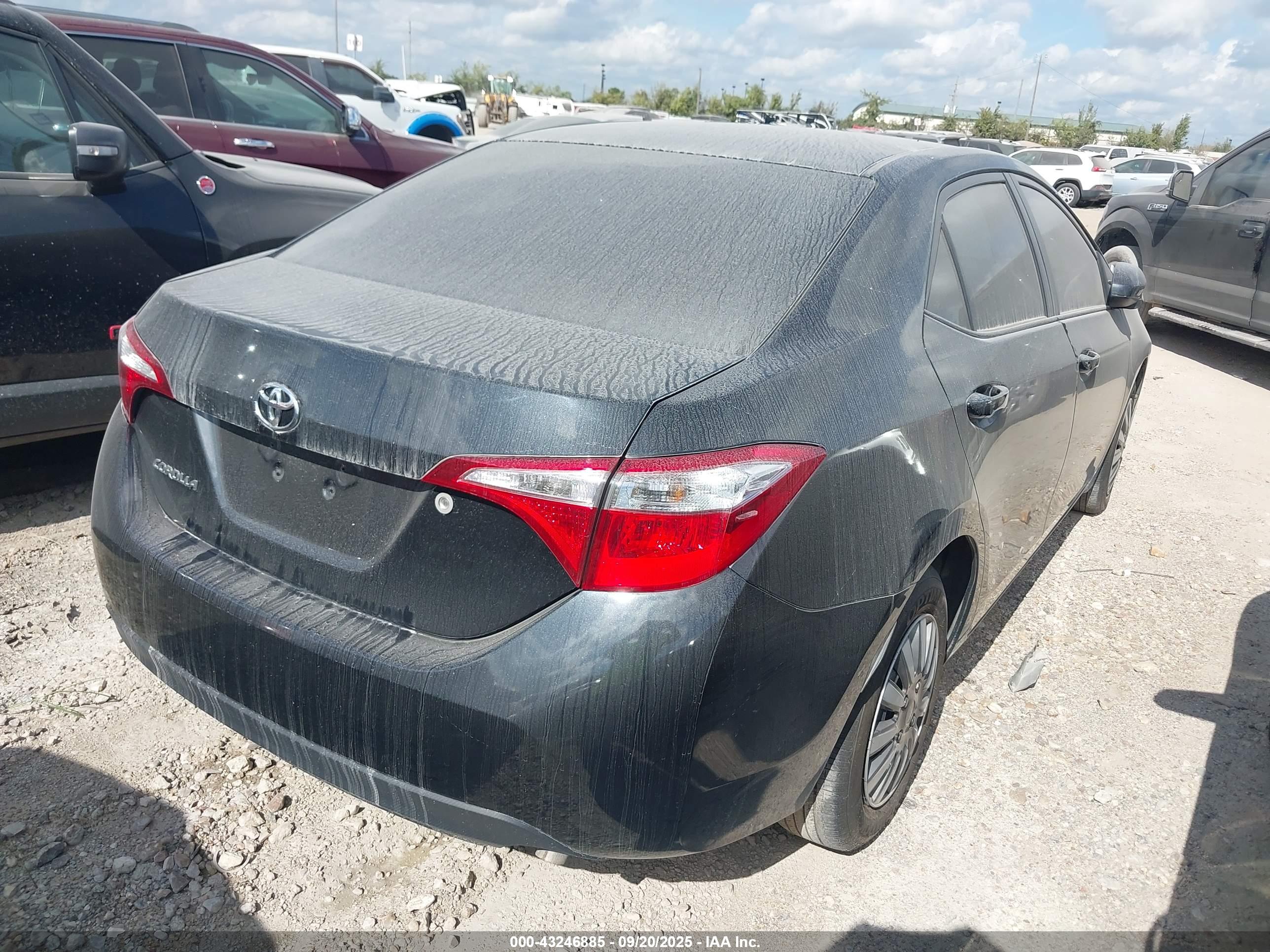 TOYOTA COROLLA image 4