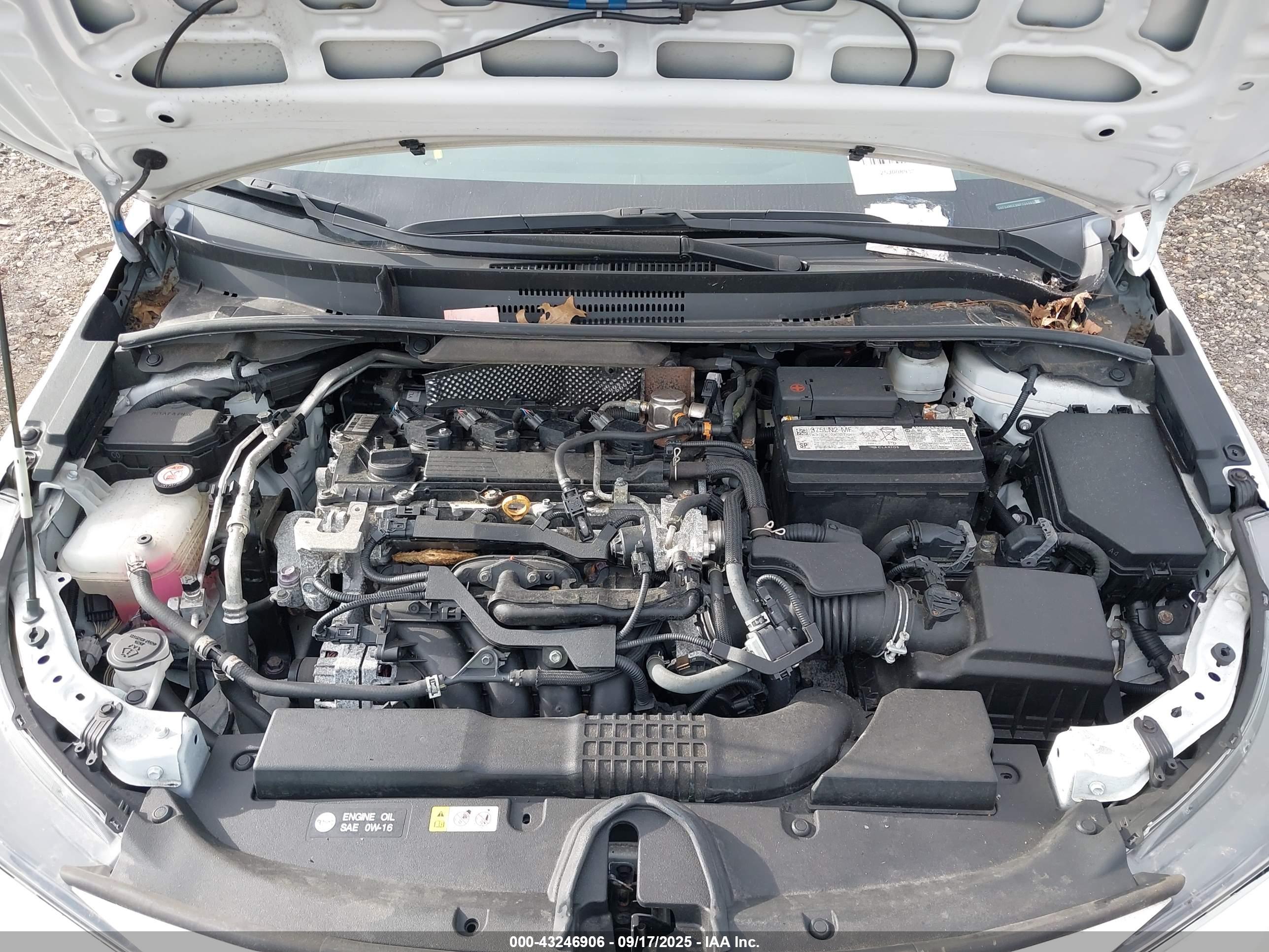 TOYOTA COROLLA image 10