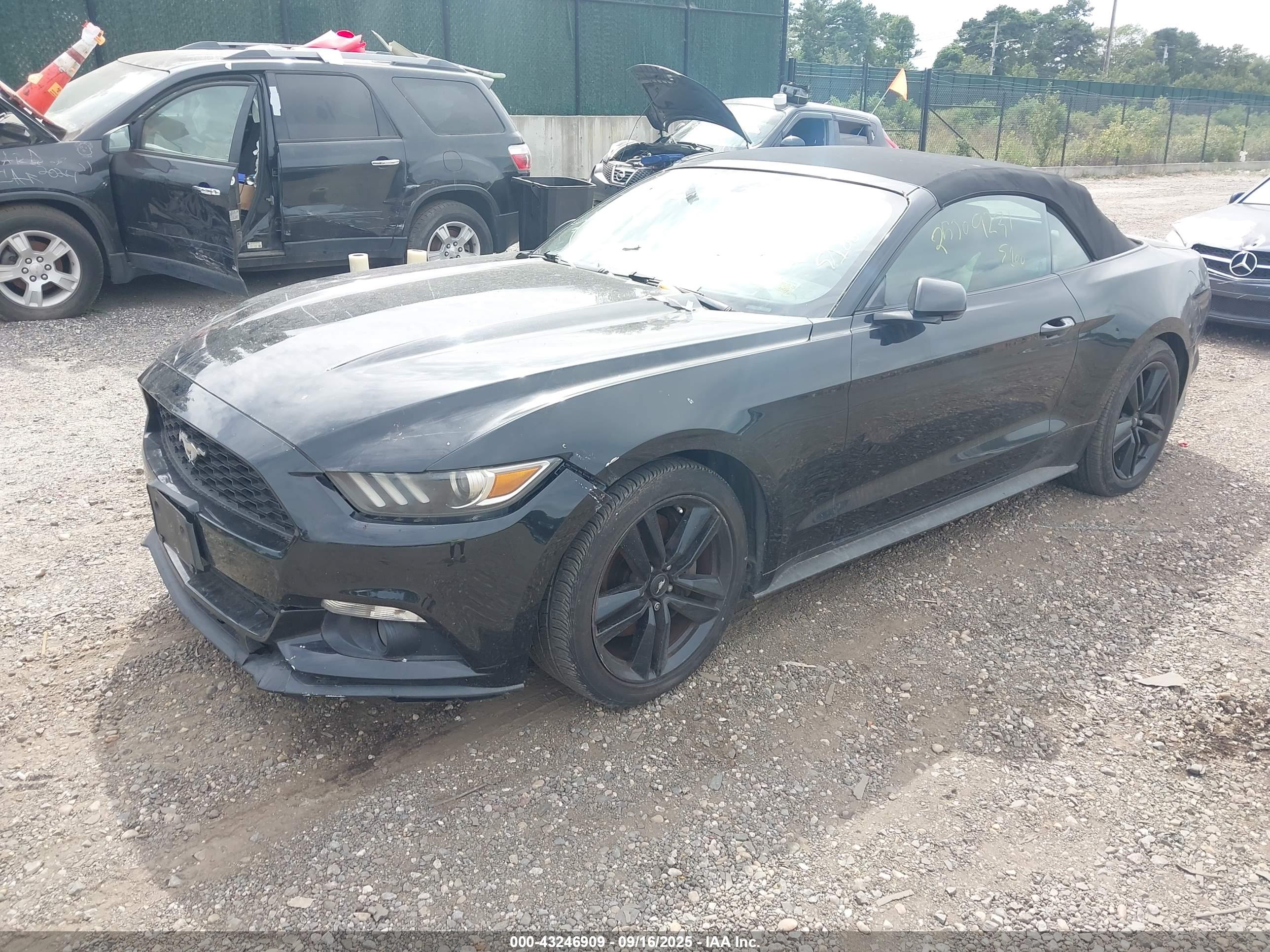 FORD MUSTANG image 2
