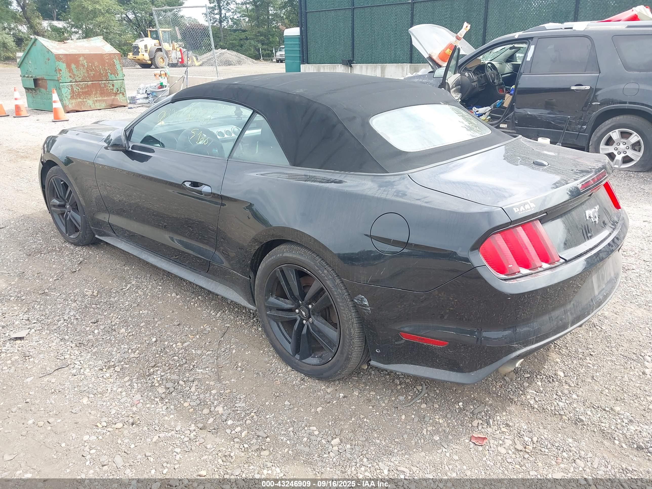 FORD MUSTANG image 3