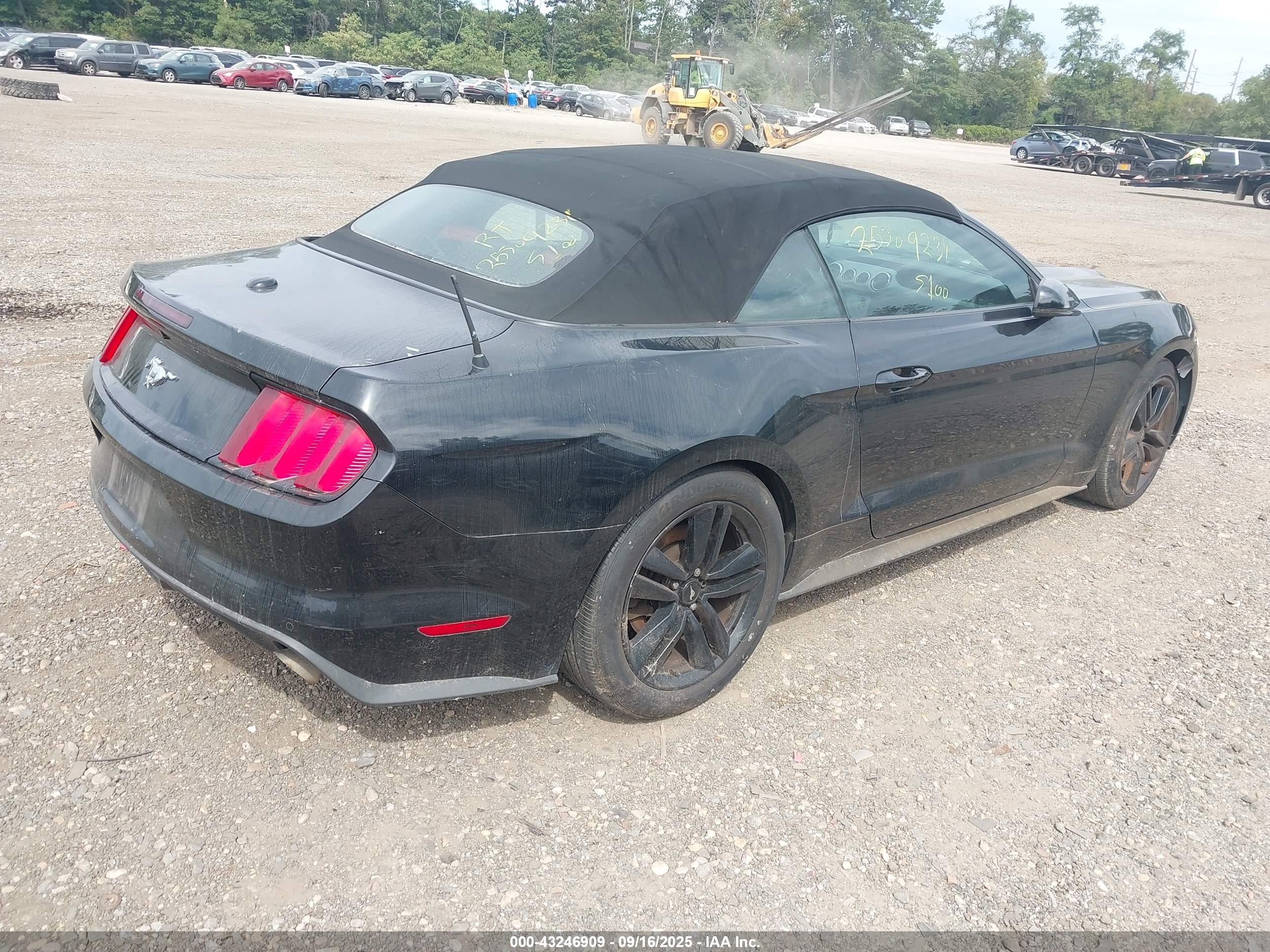 FORD MUSTANG image 4