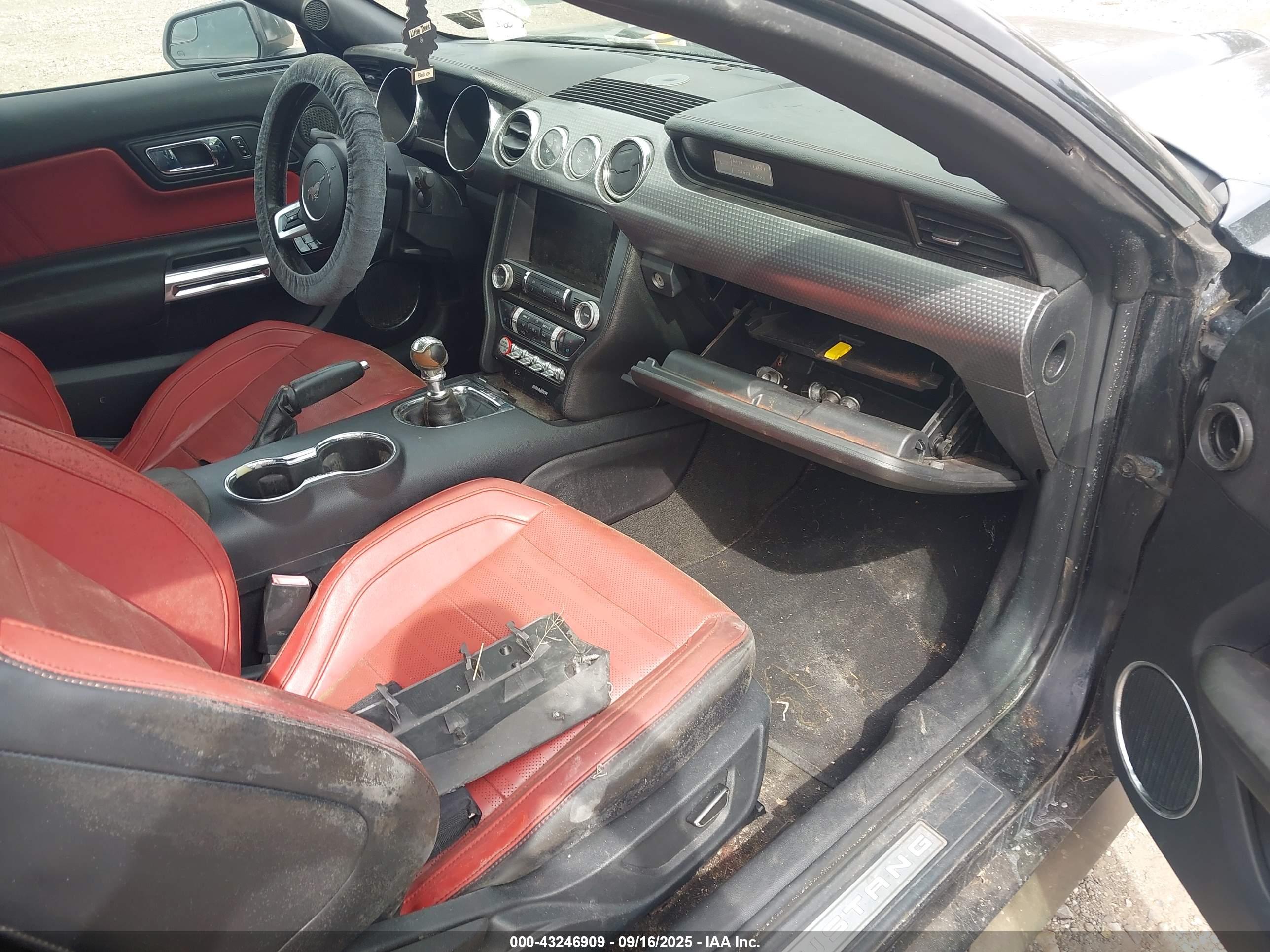 FORD MUSTANG image 5