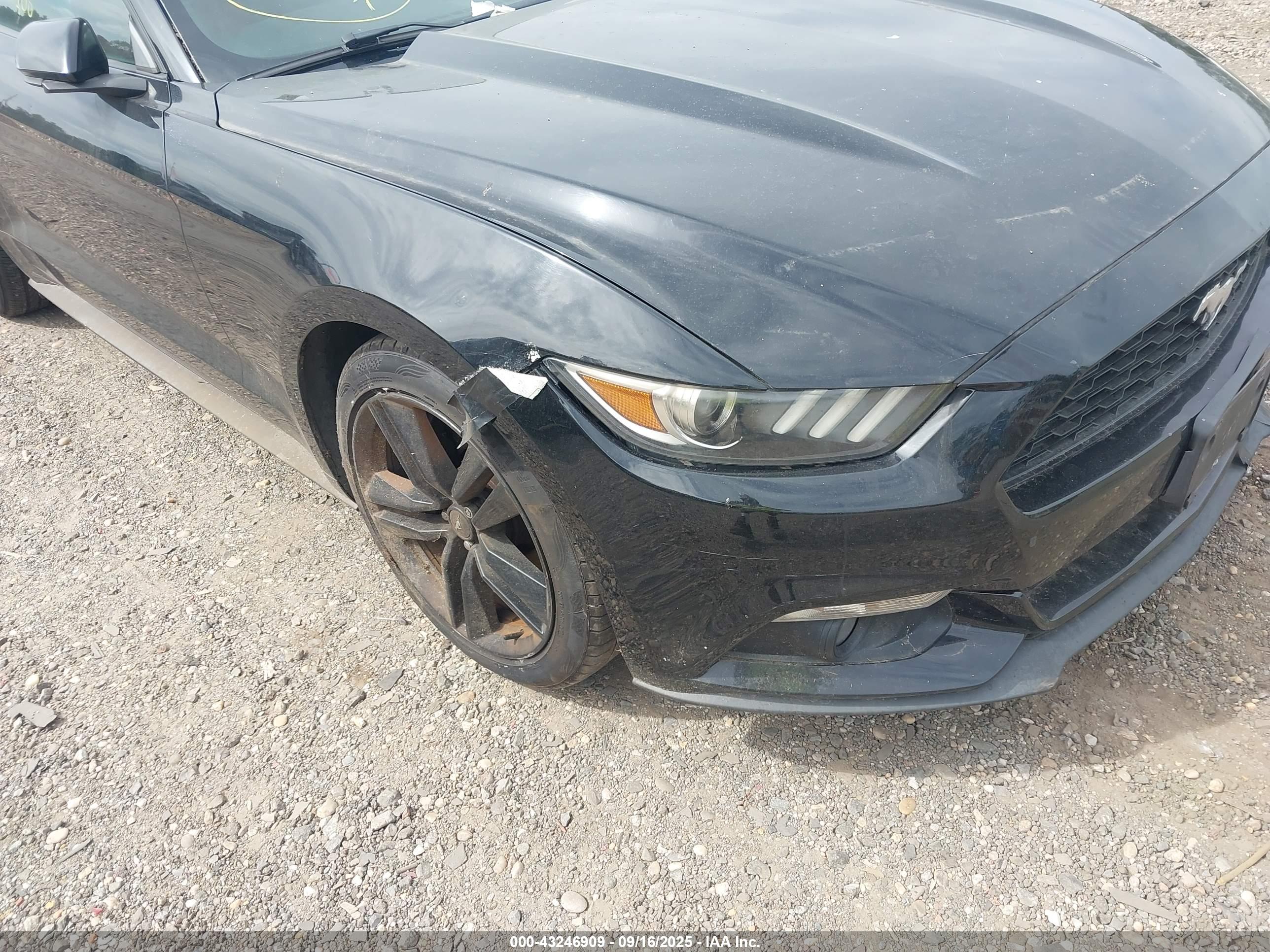 FORD MUSTANG image 6