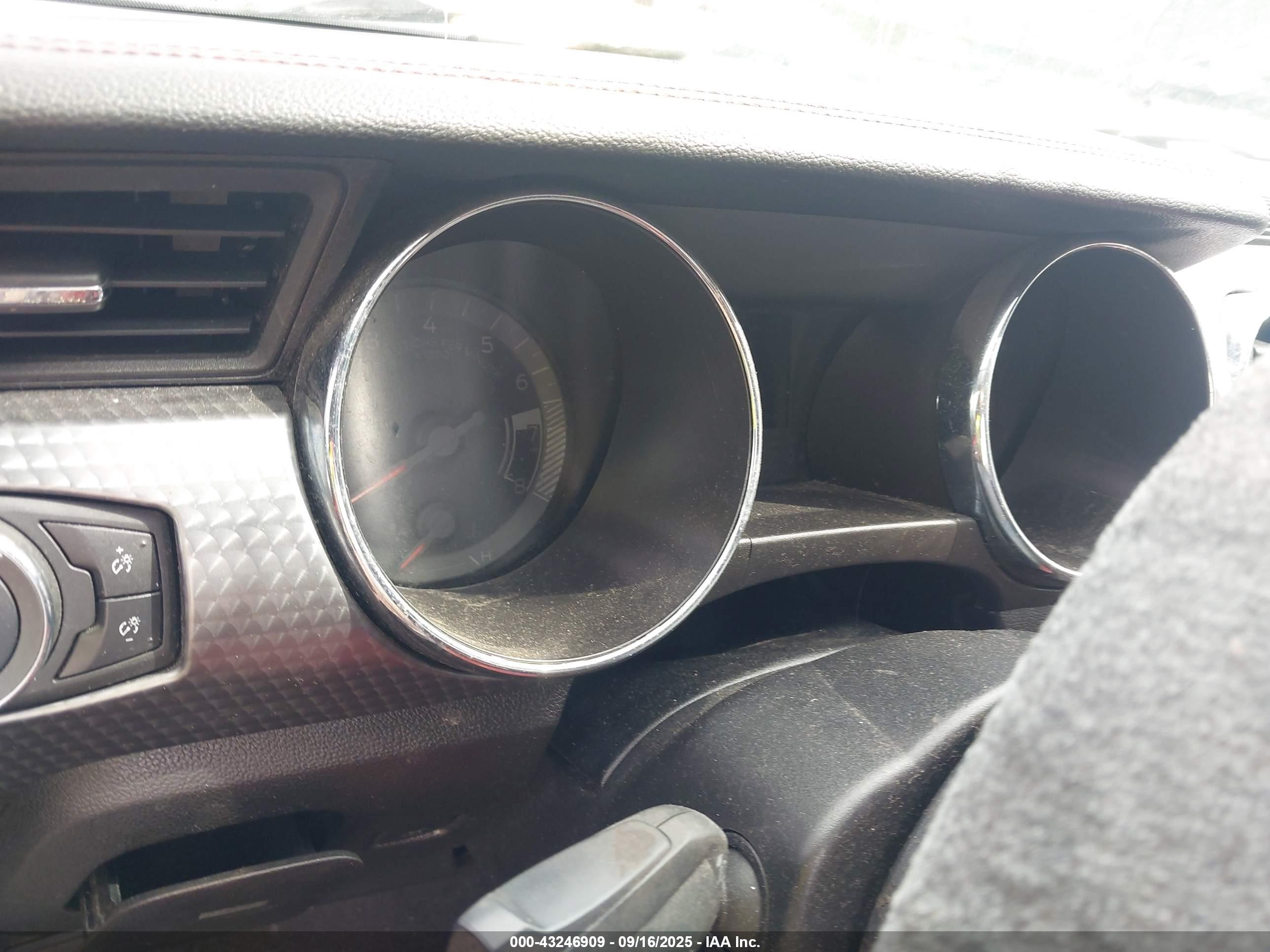 FORD MUSTANG image 7