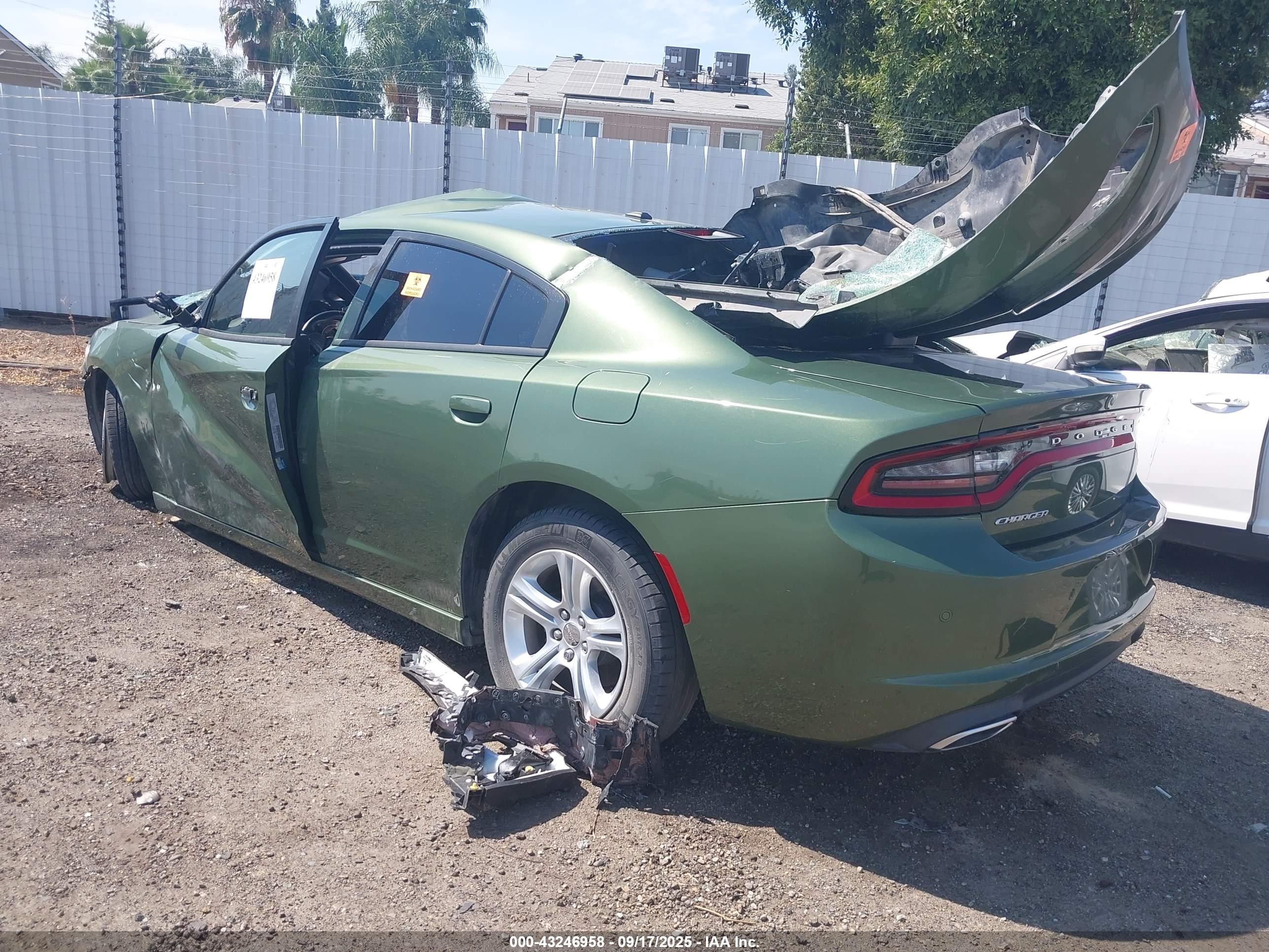 DODGE CHARGER image 3