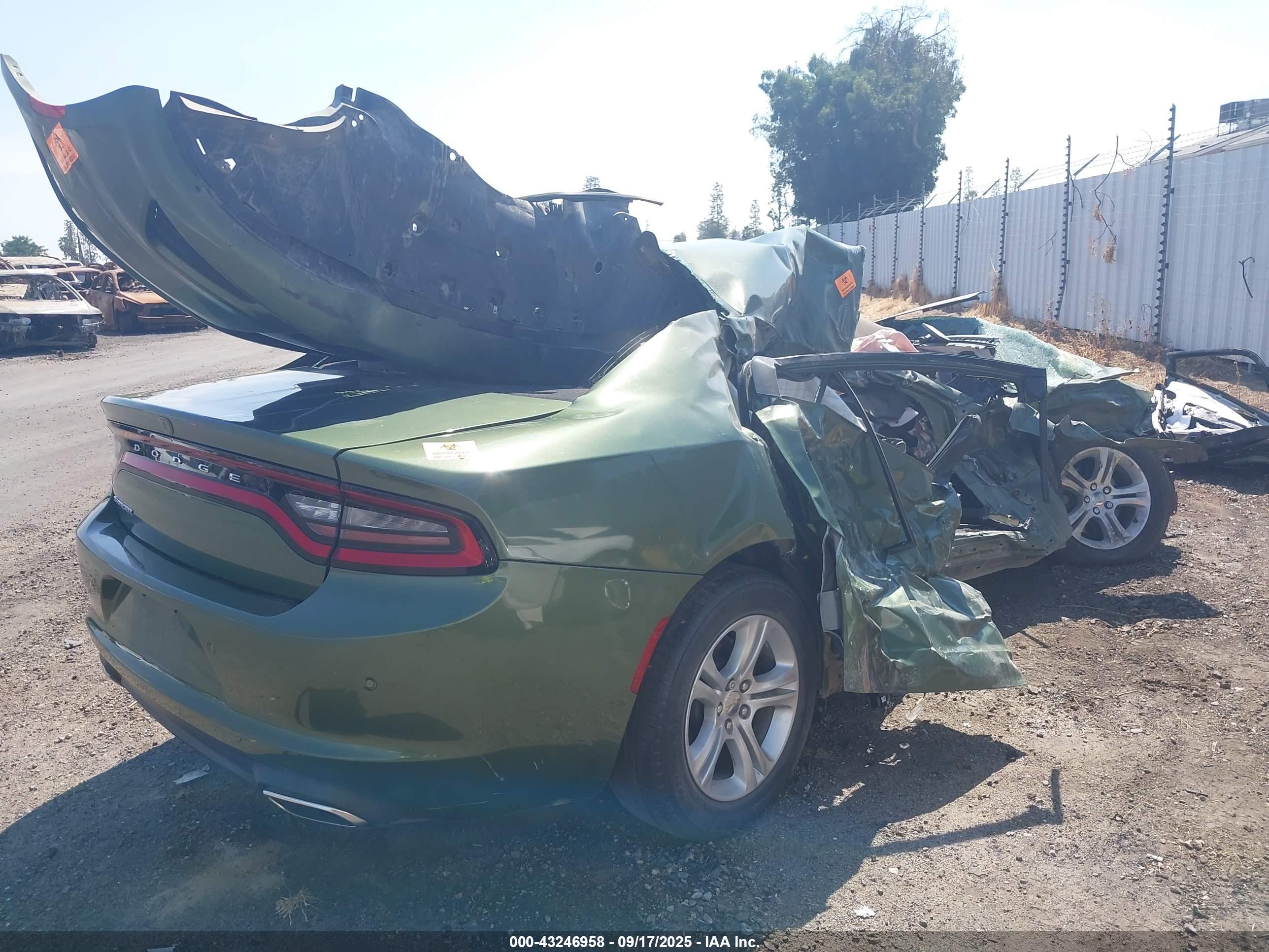 DODGE CHARGER image 4