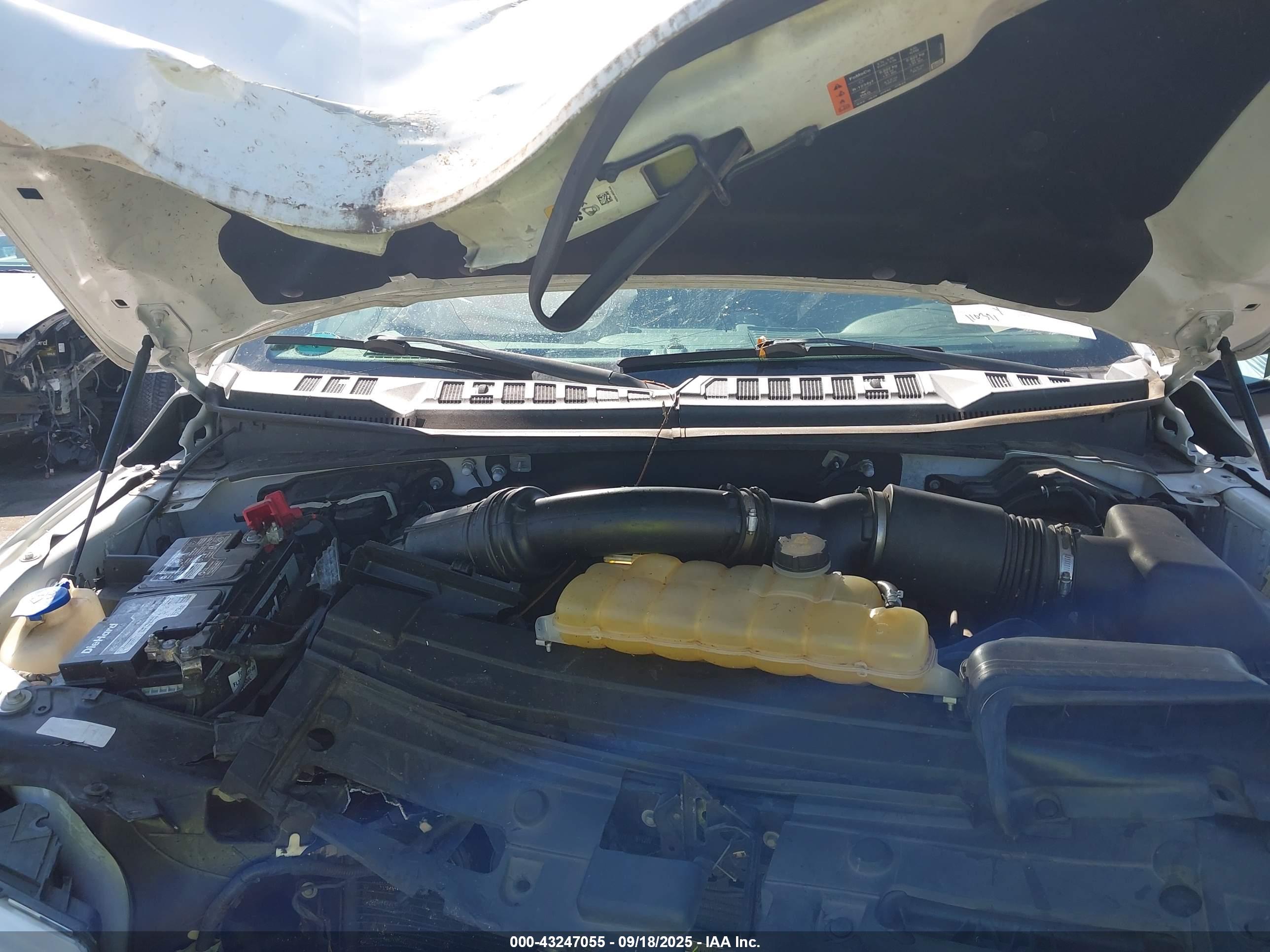 FORD F-150 image 10