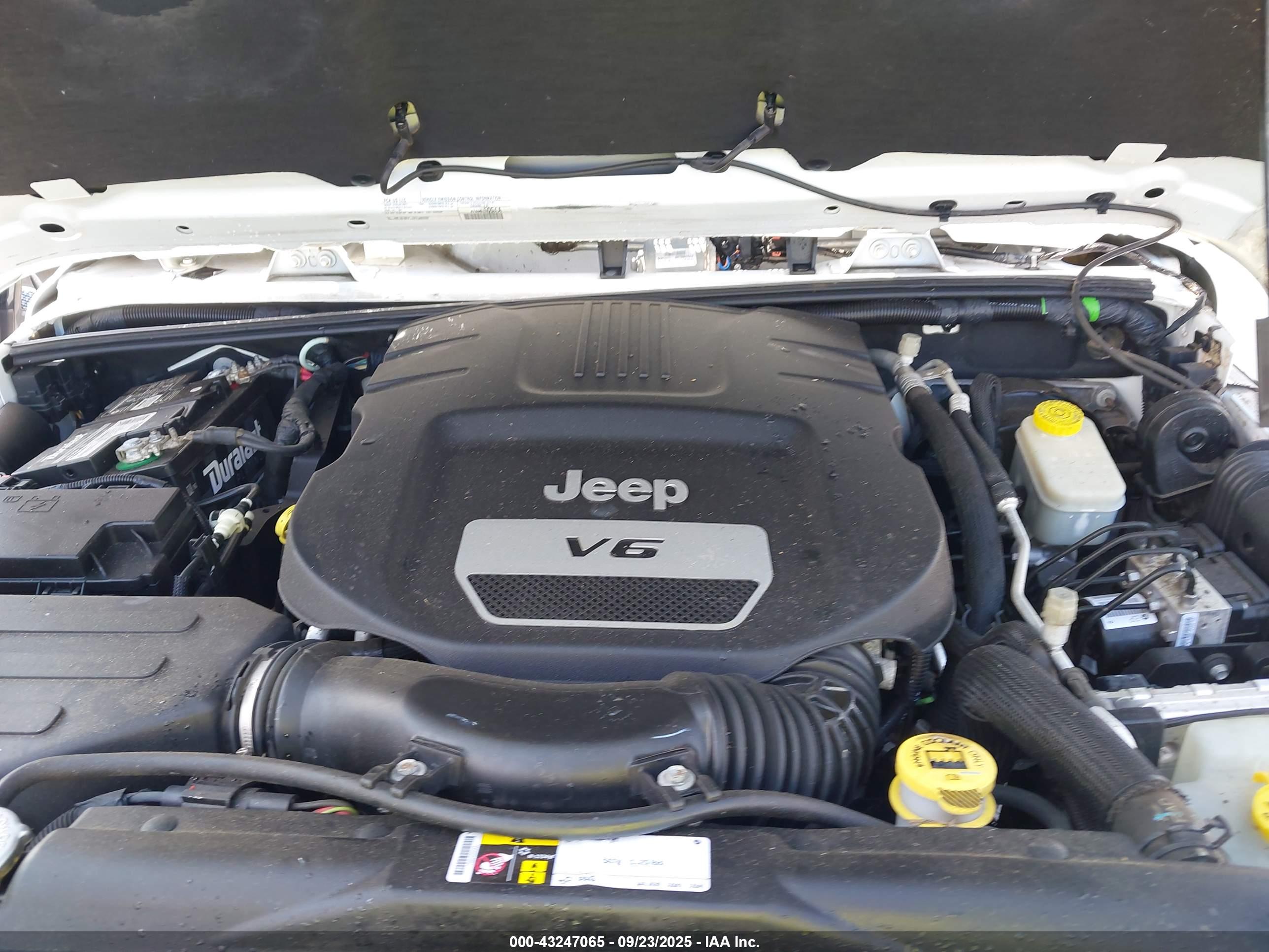 JEEP WRANGLER image 10