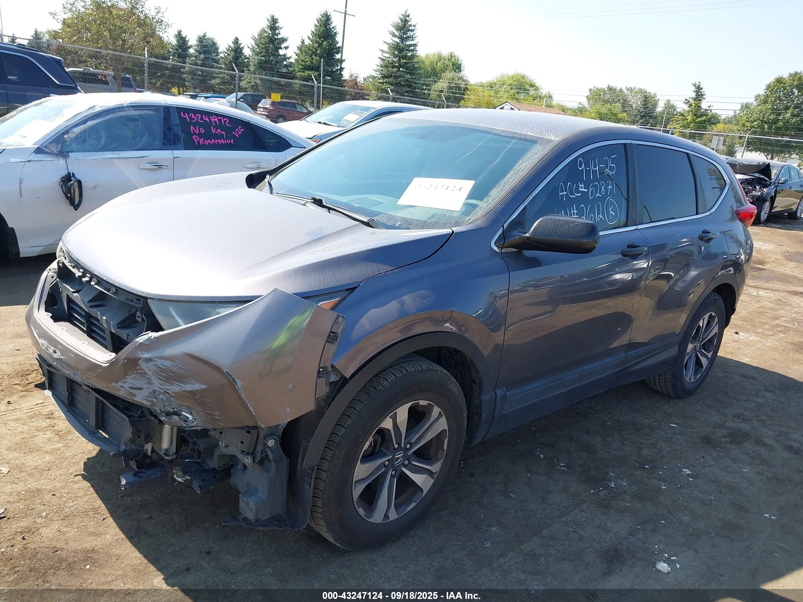 HONDA CR-V image 2