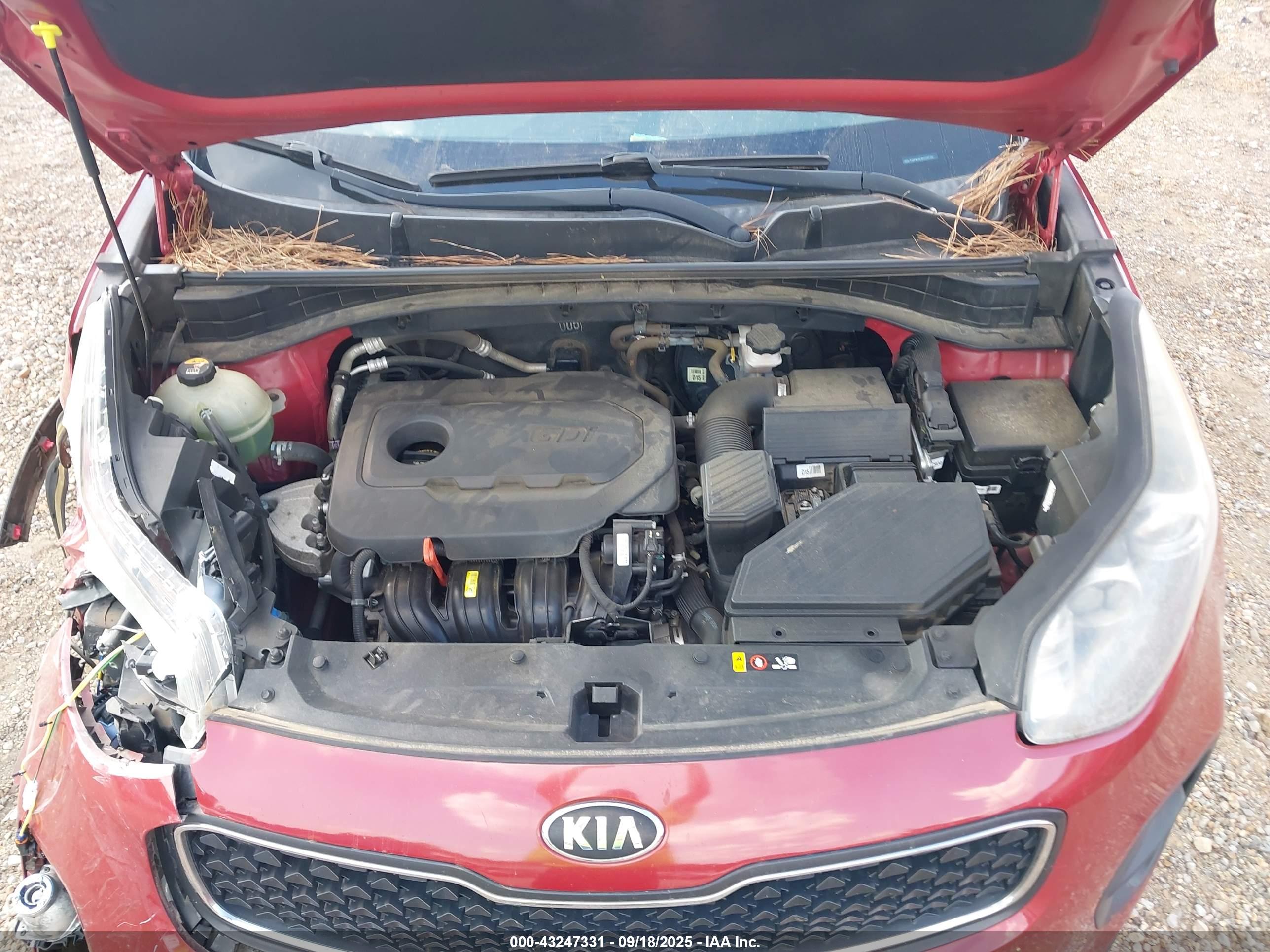 KIA SPORTAGE image 10
