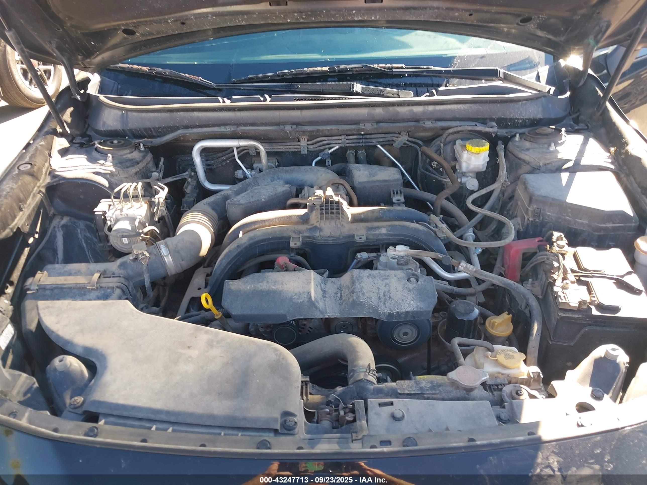 SUBARU OUTBACK image 10