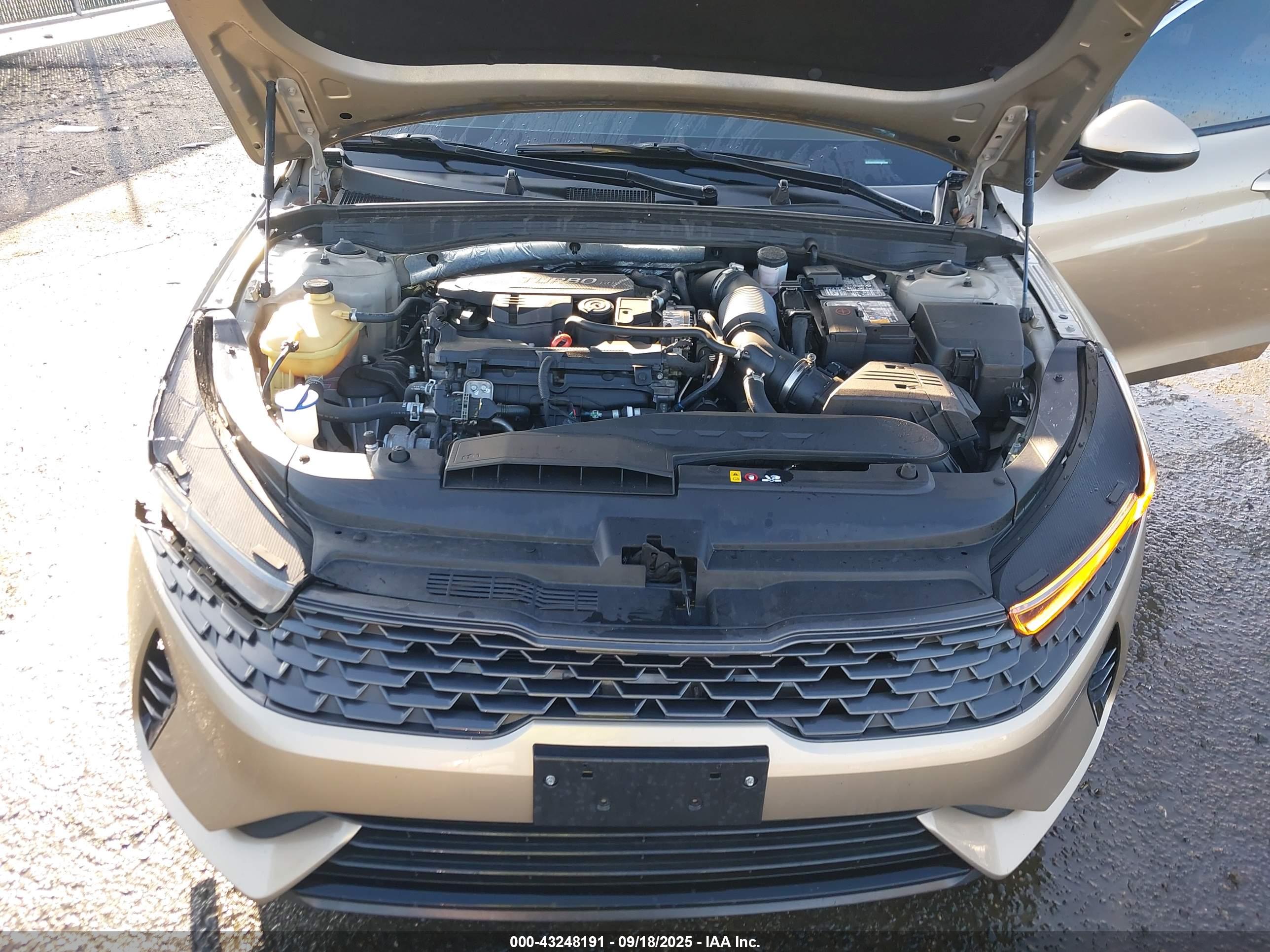 KIA K5 image 10