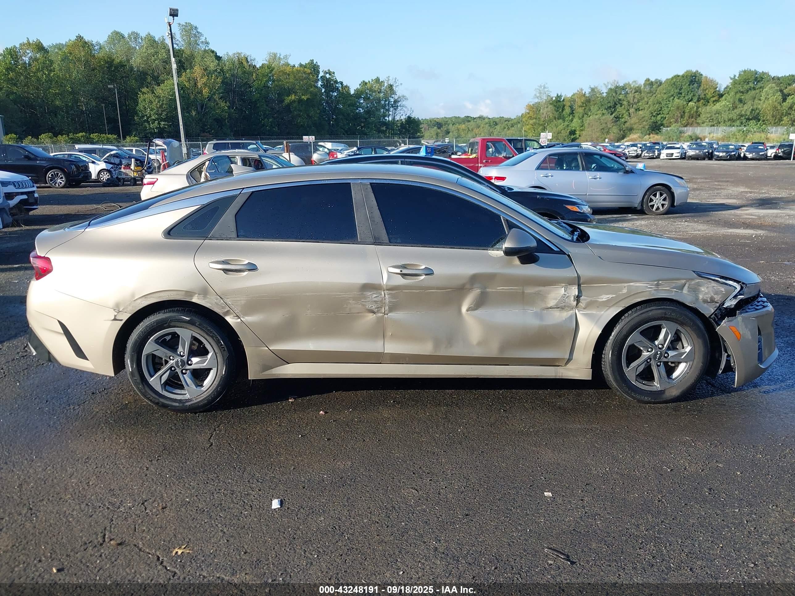 KIA K5 image 6