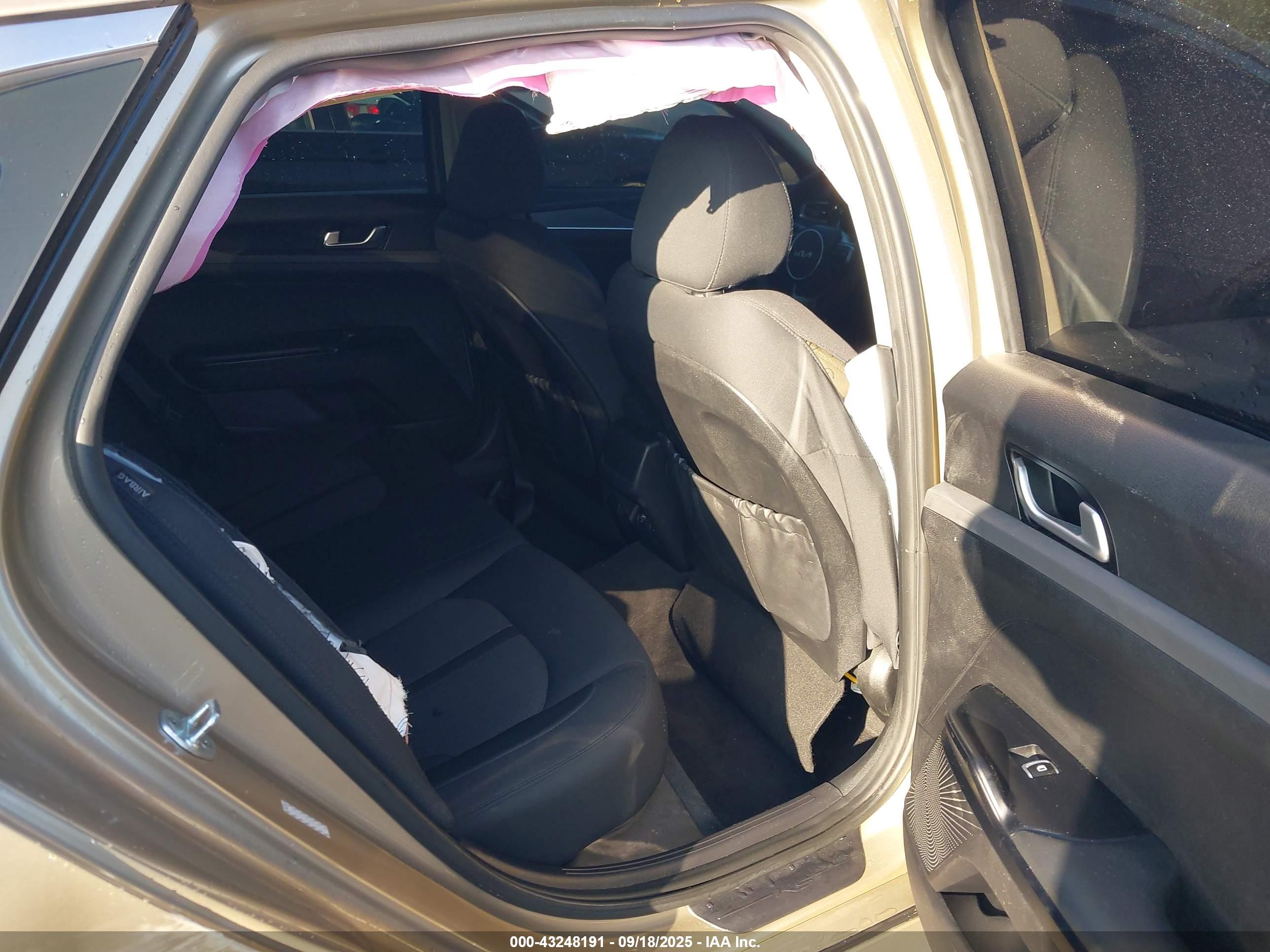 KIA K5 image 8
