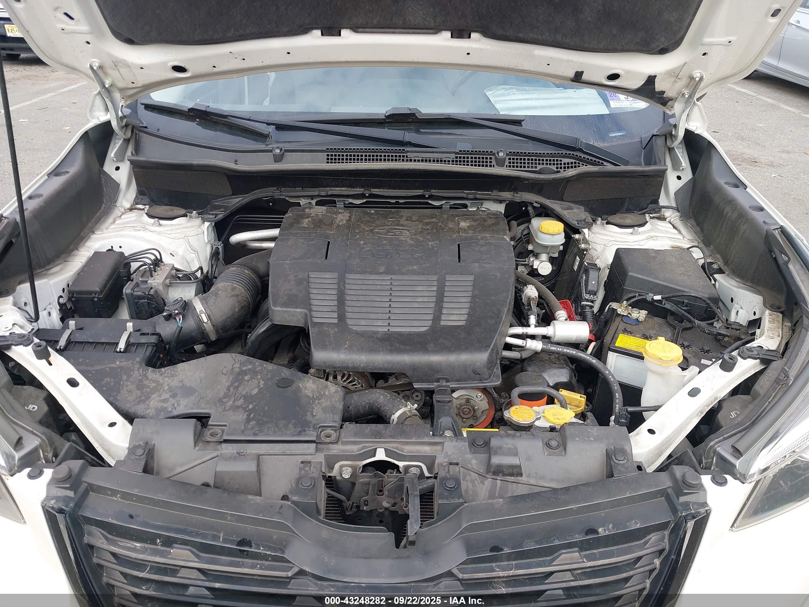 SUBARU FORESTER image 10
