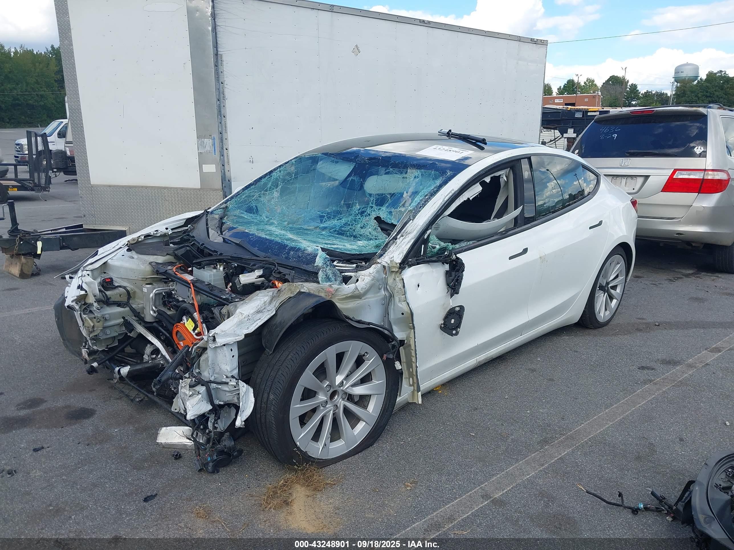 TESLA MODEL image 2