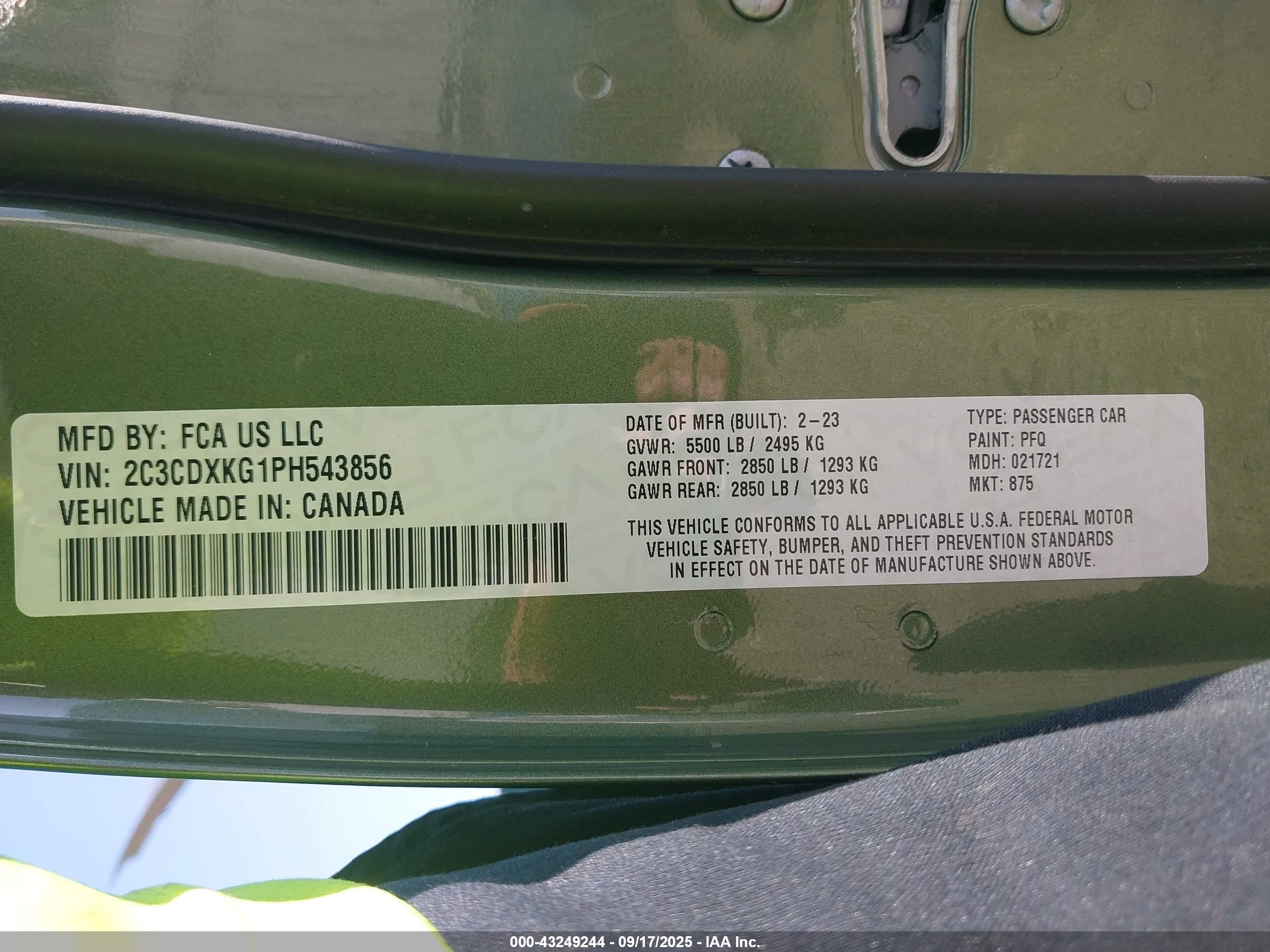 DODGE CHARGER image 9