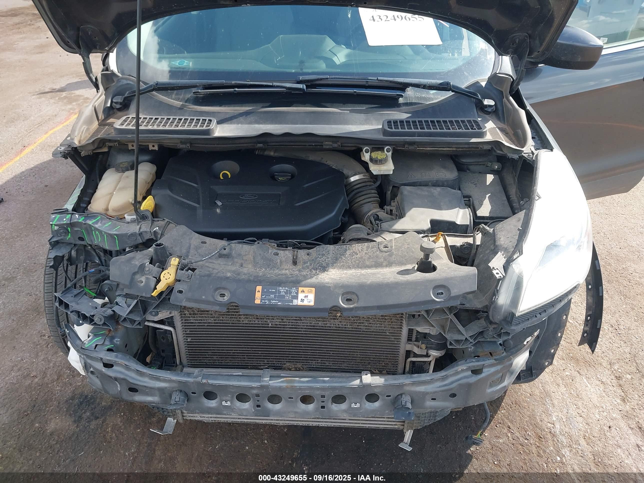 FORD ESCAPE image 10