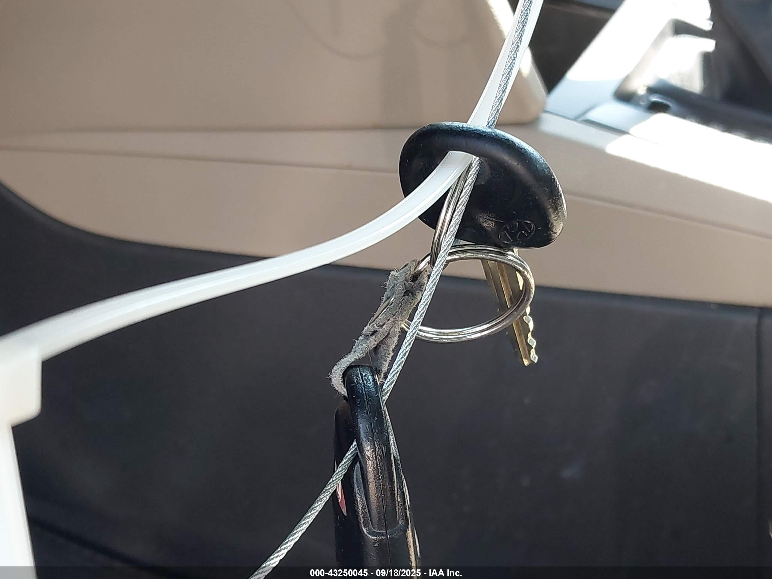 HYUNDAI ELANTRA image 11