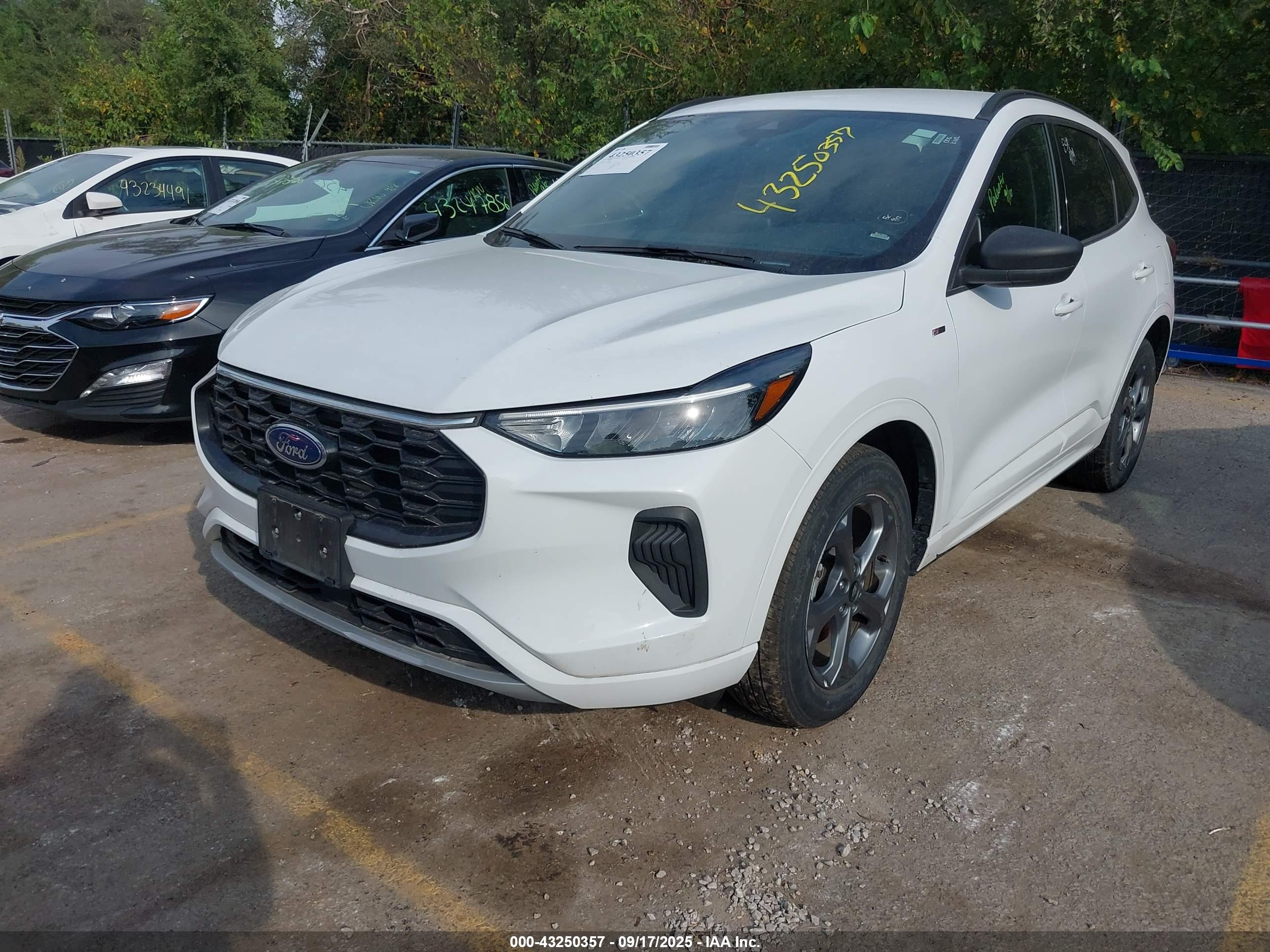 FORD ESCAPE image 2