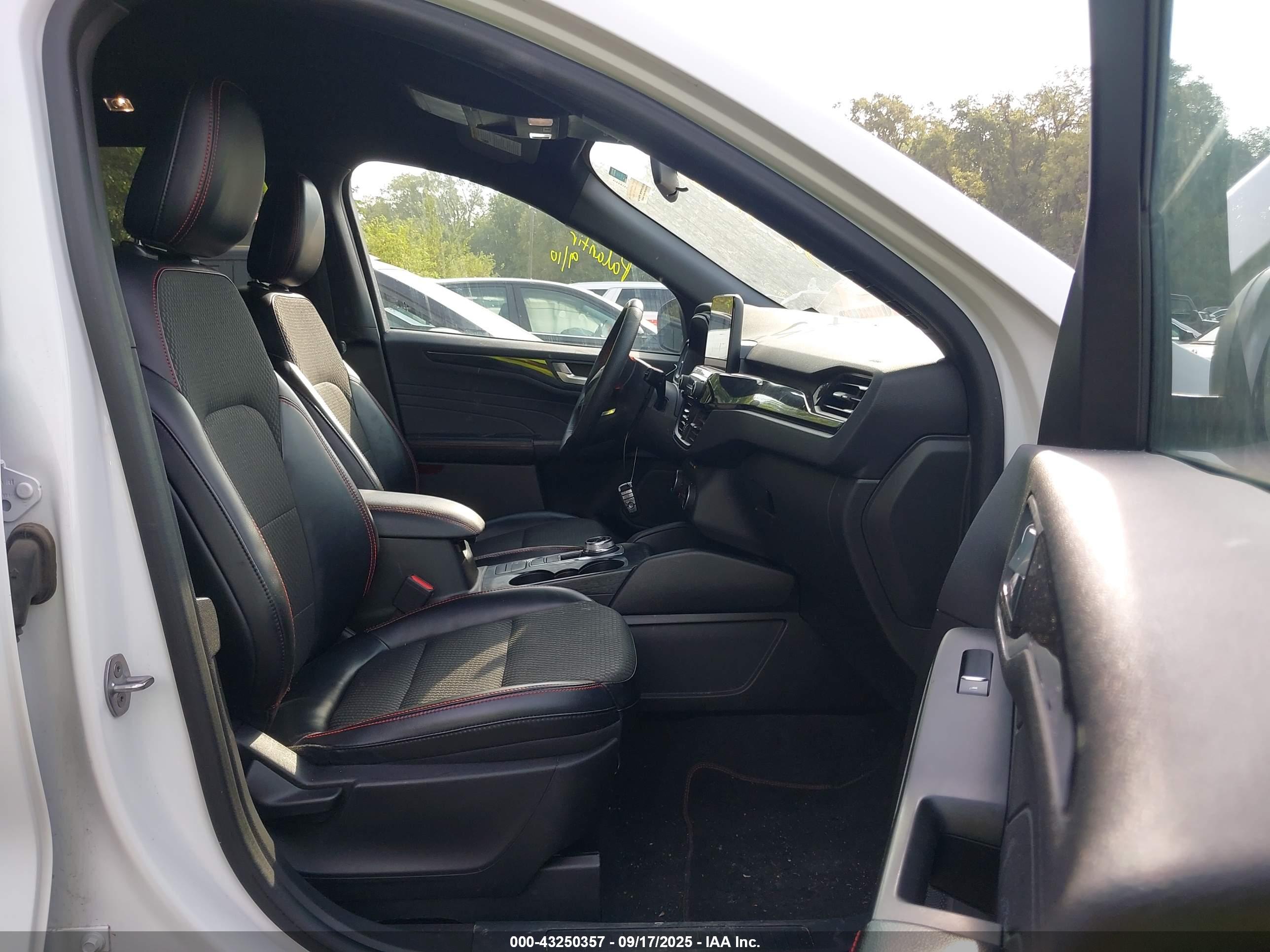 FORD ESCAPE image 5