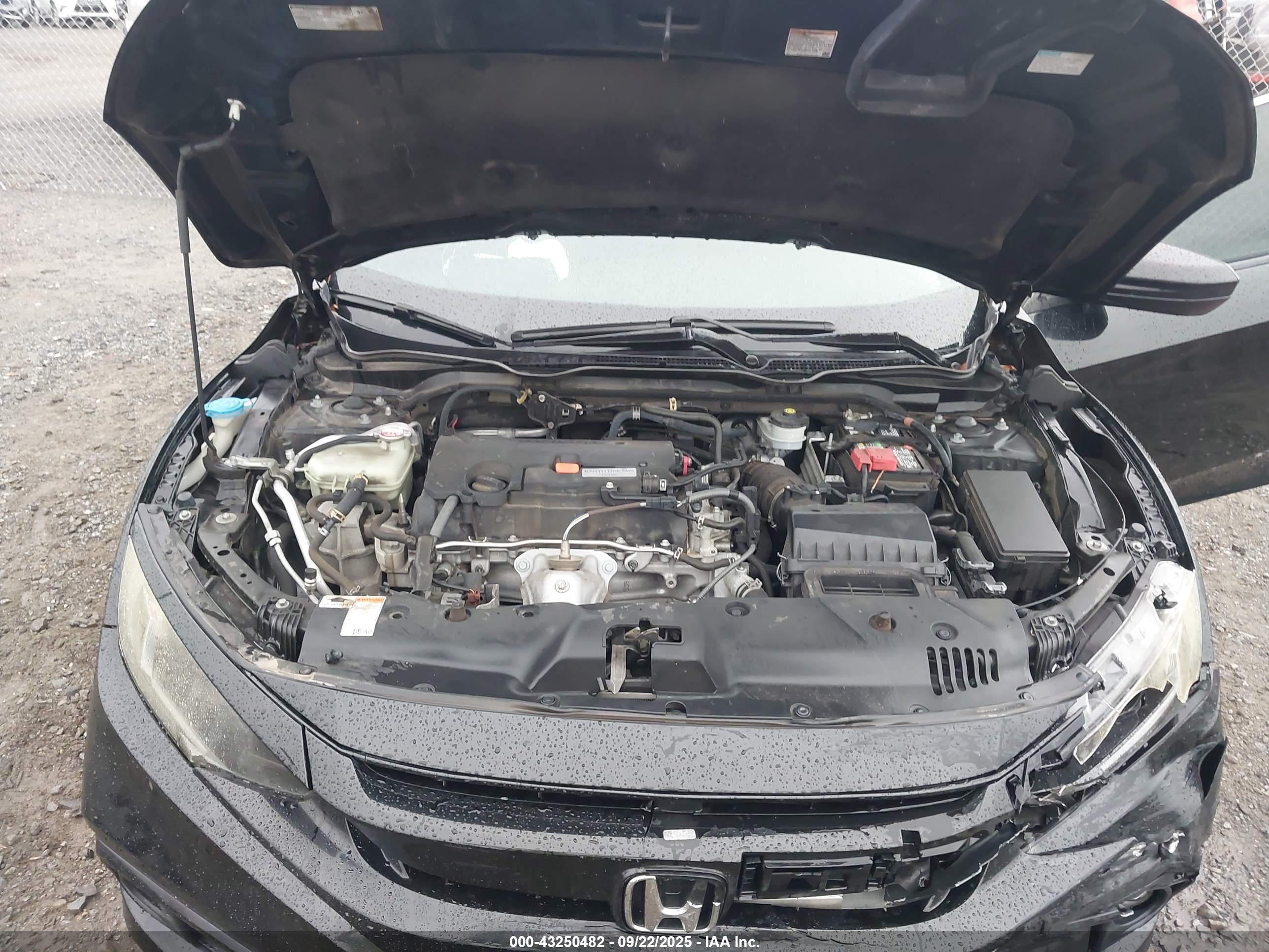 HONDA CIVIC image 10