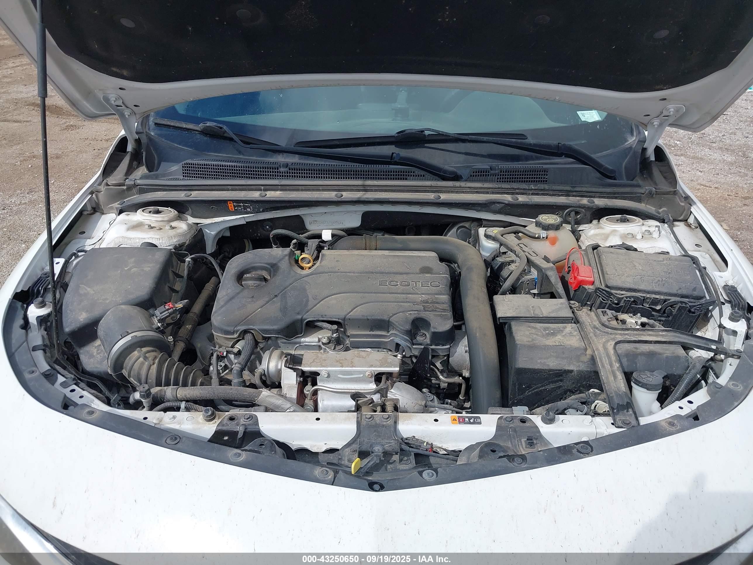 CHEVROLET MALIBU image 10