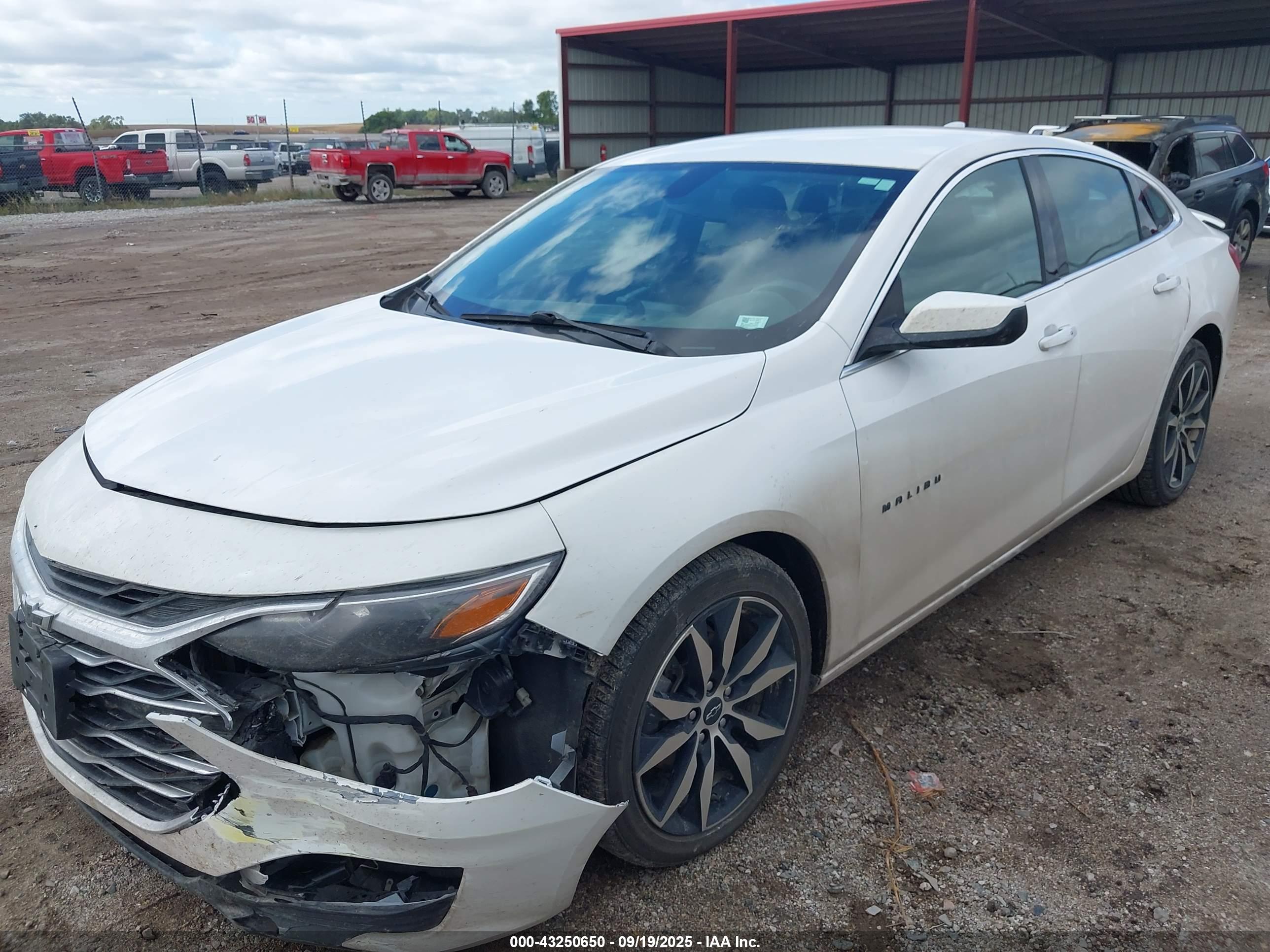 CHEVROLET MALIBU image 2