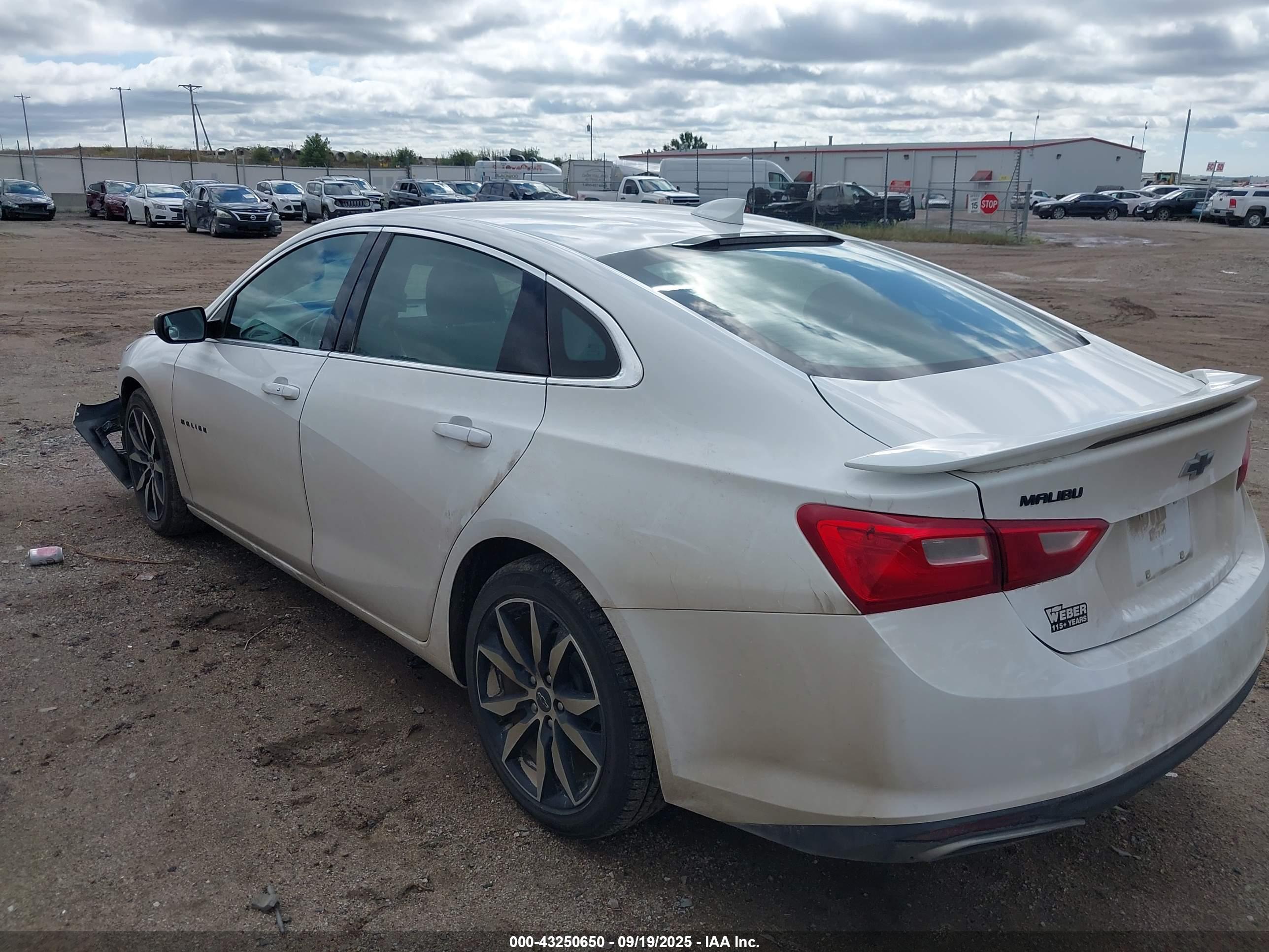 CHEVROLET MALIBU image 3