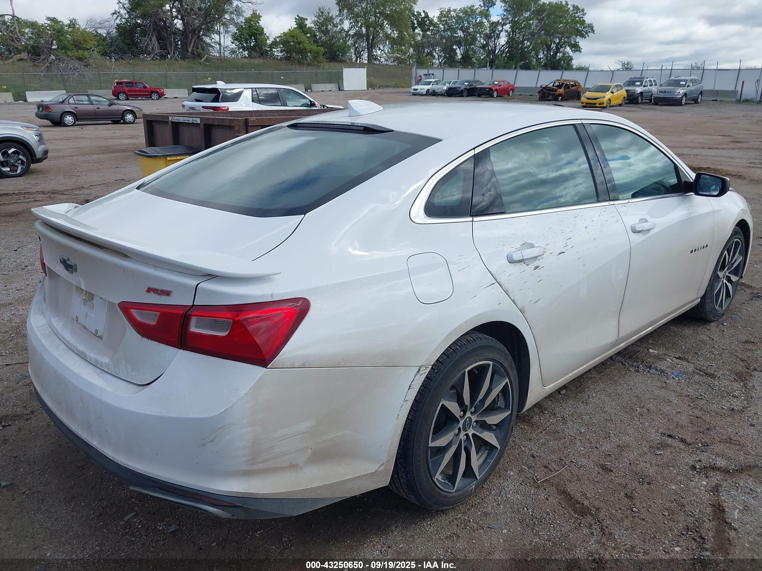 CHEVROLET MALIBU image 4
